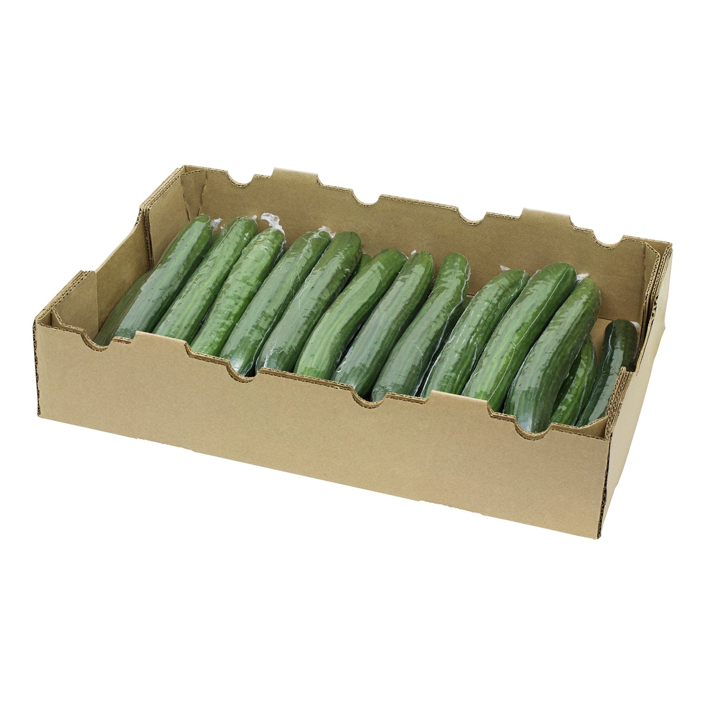 English Cucumbers, Pack of 12 - image 2