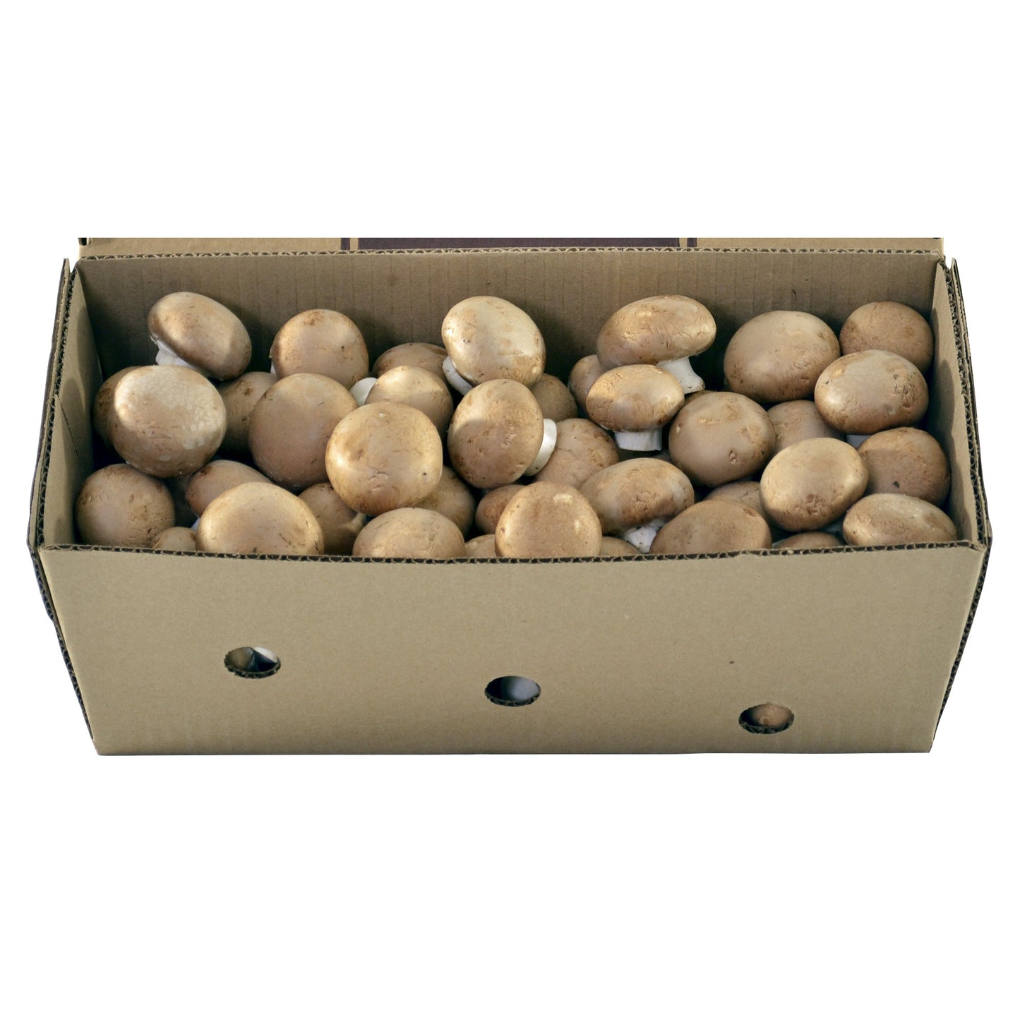 Mini Bella Mushrooms, 2.27 kg - image 2