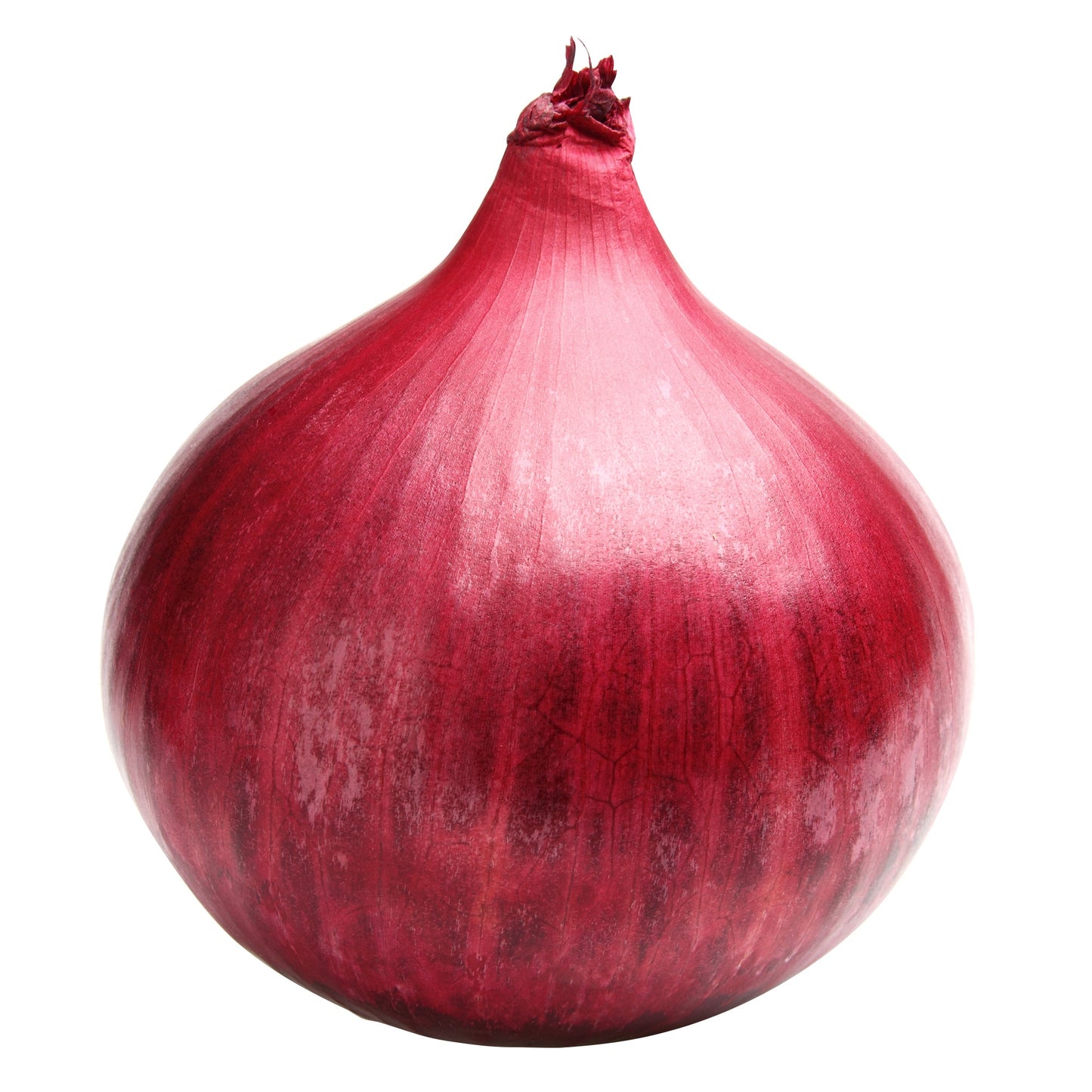 Red Onions, 11.34 kg - image 1