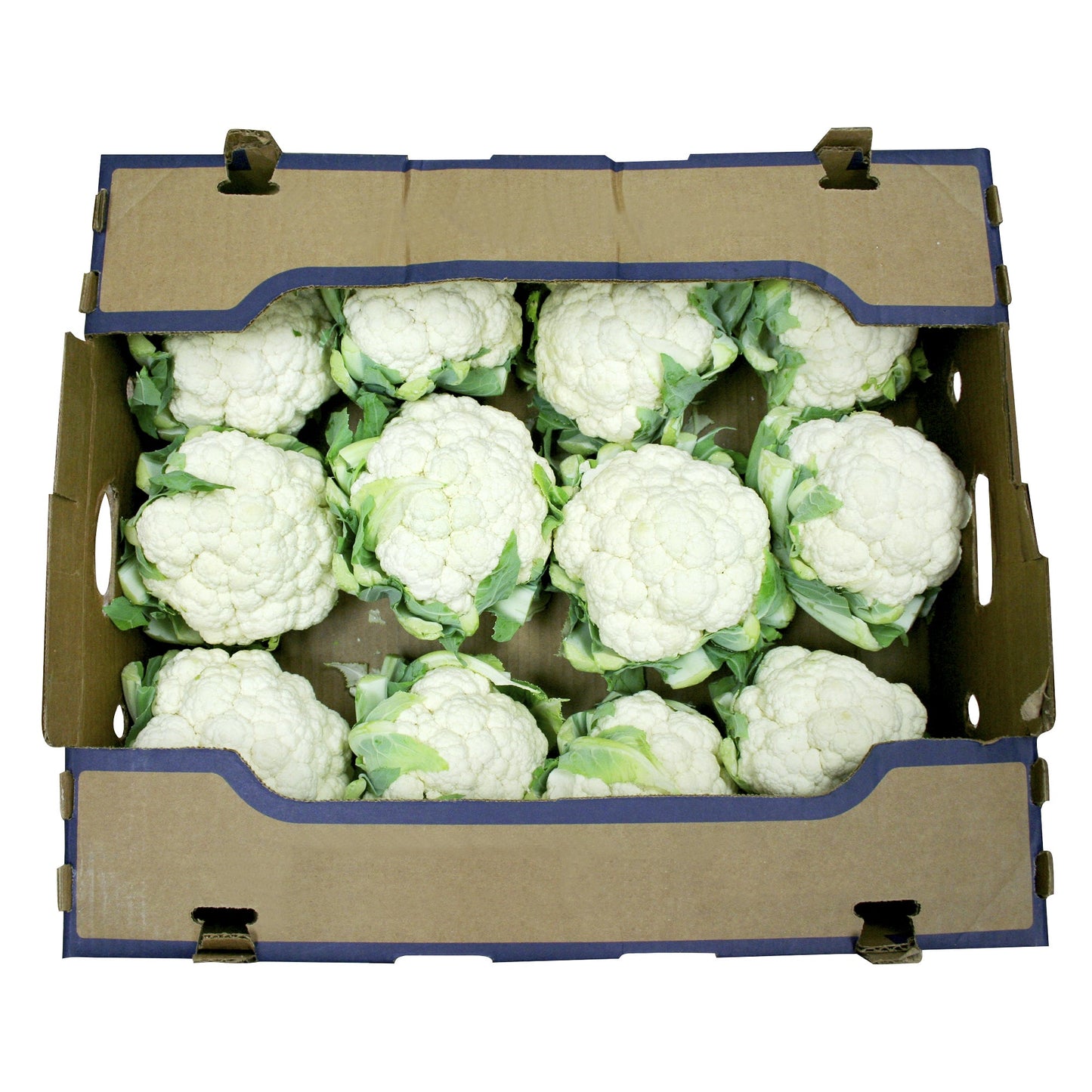 Cauliflower, Pack of 9 or 12 - image 2
