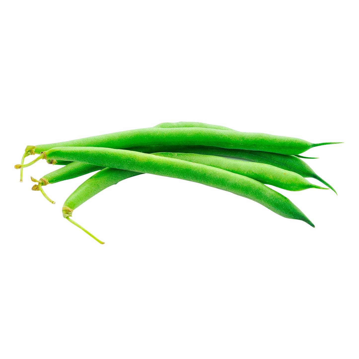 Organic French Green Beans - image 1