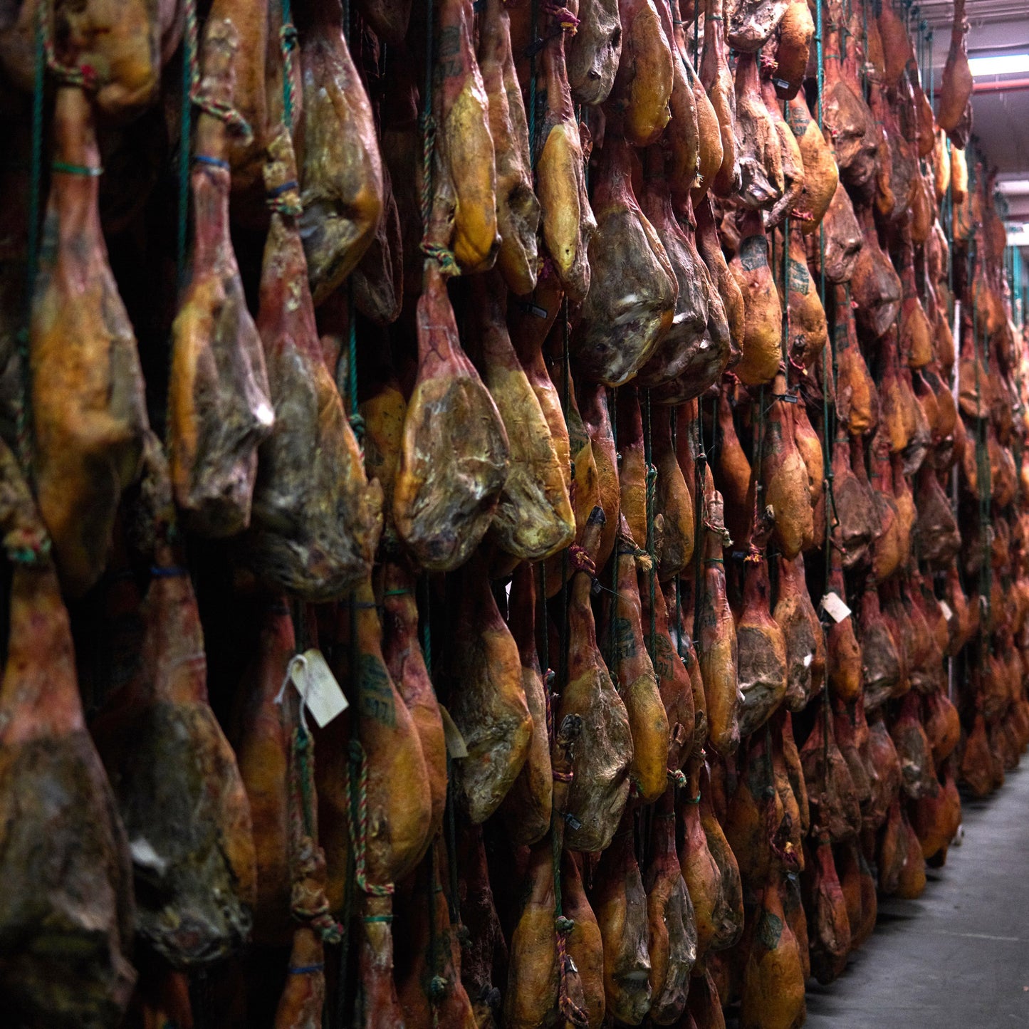 Iberico Bellota Ham Bone-in 48 Months, 8-10 kg - image 5