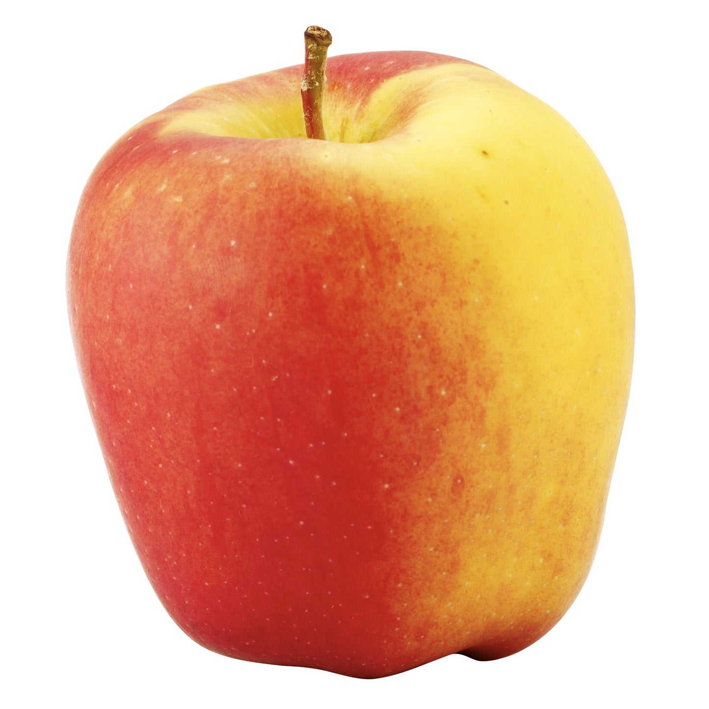 Ambrosia Apples, 2.72 kg - image 1