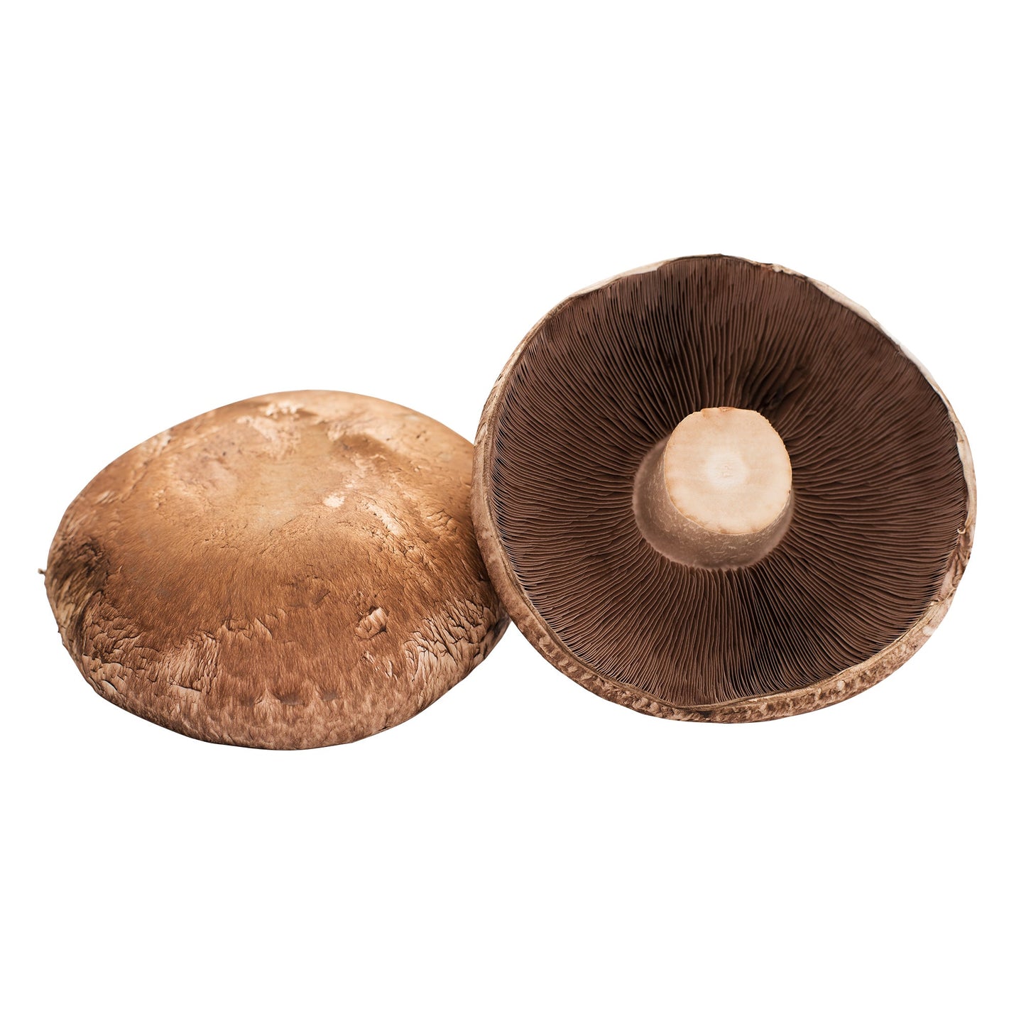 Portabella Mushrooms - image 1