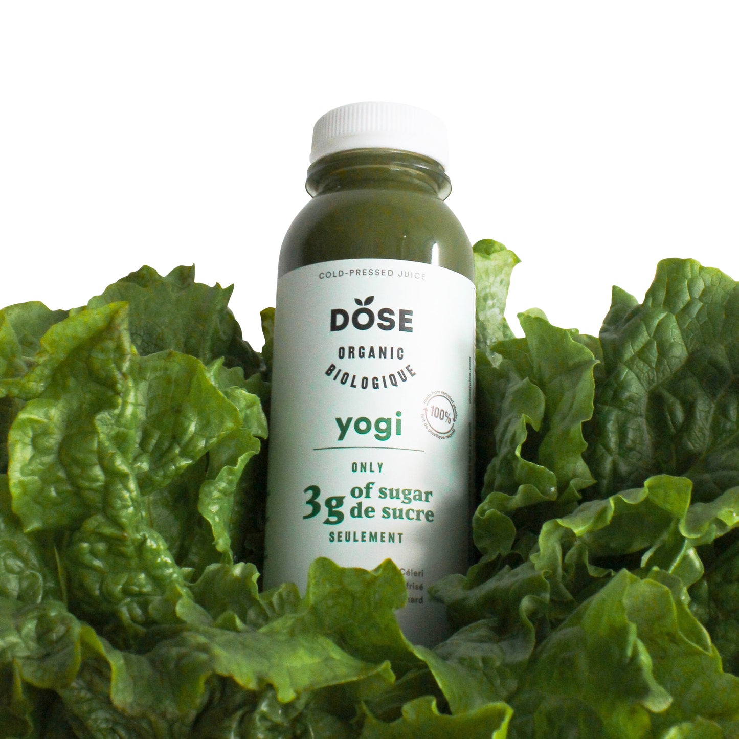 DOSE Organic Cold-Pressed Yogi Green Juice, 30 × 300 mL (10.14 fl oz) - image 3