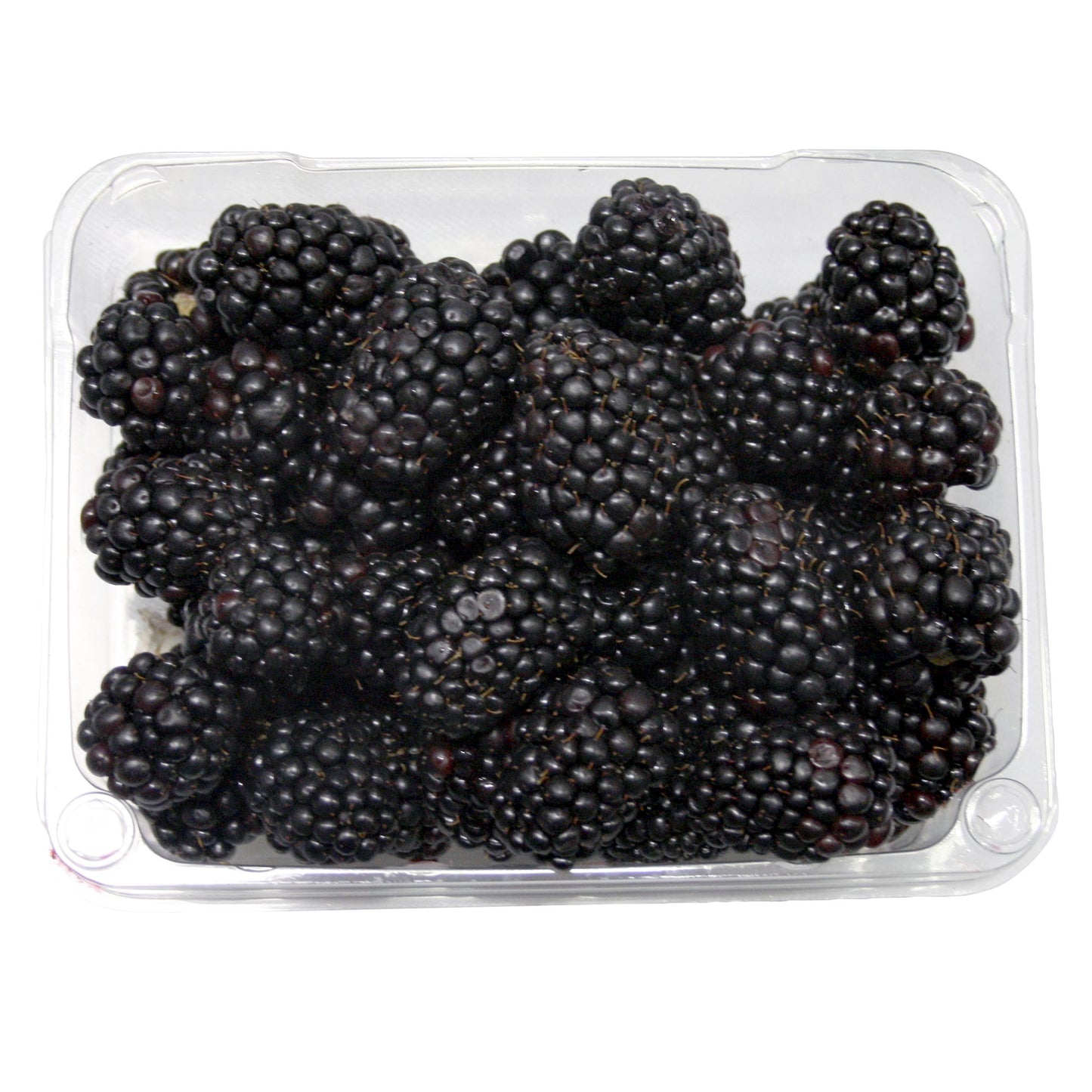 Blackberries, 340 g - image 1