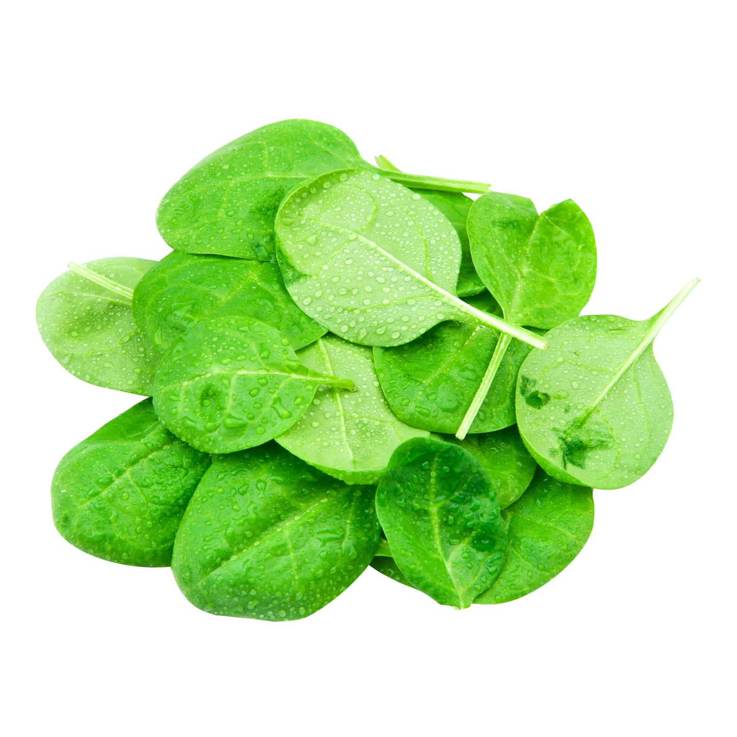 Baby Spinach, 312 g Box - image 1