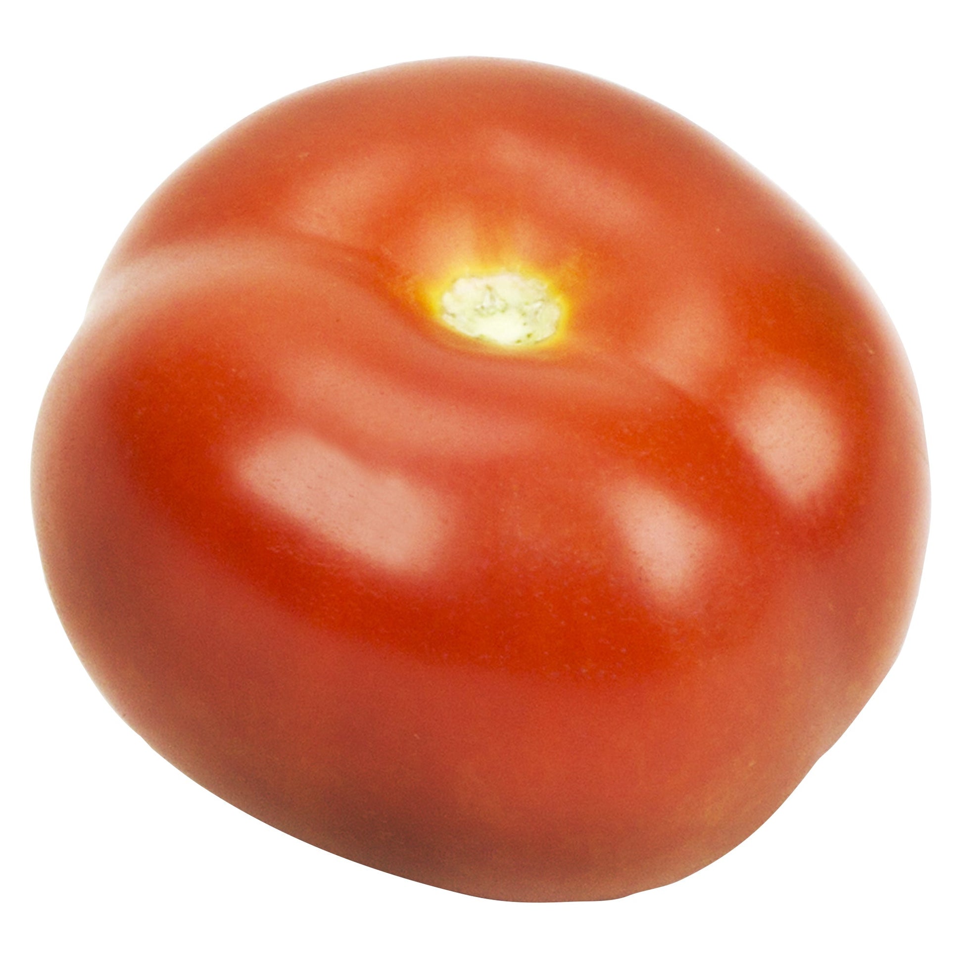 Salsa Tomatoes - image 1