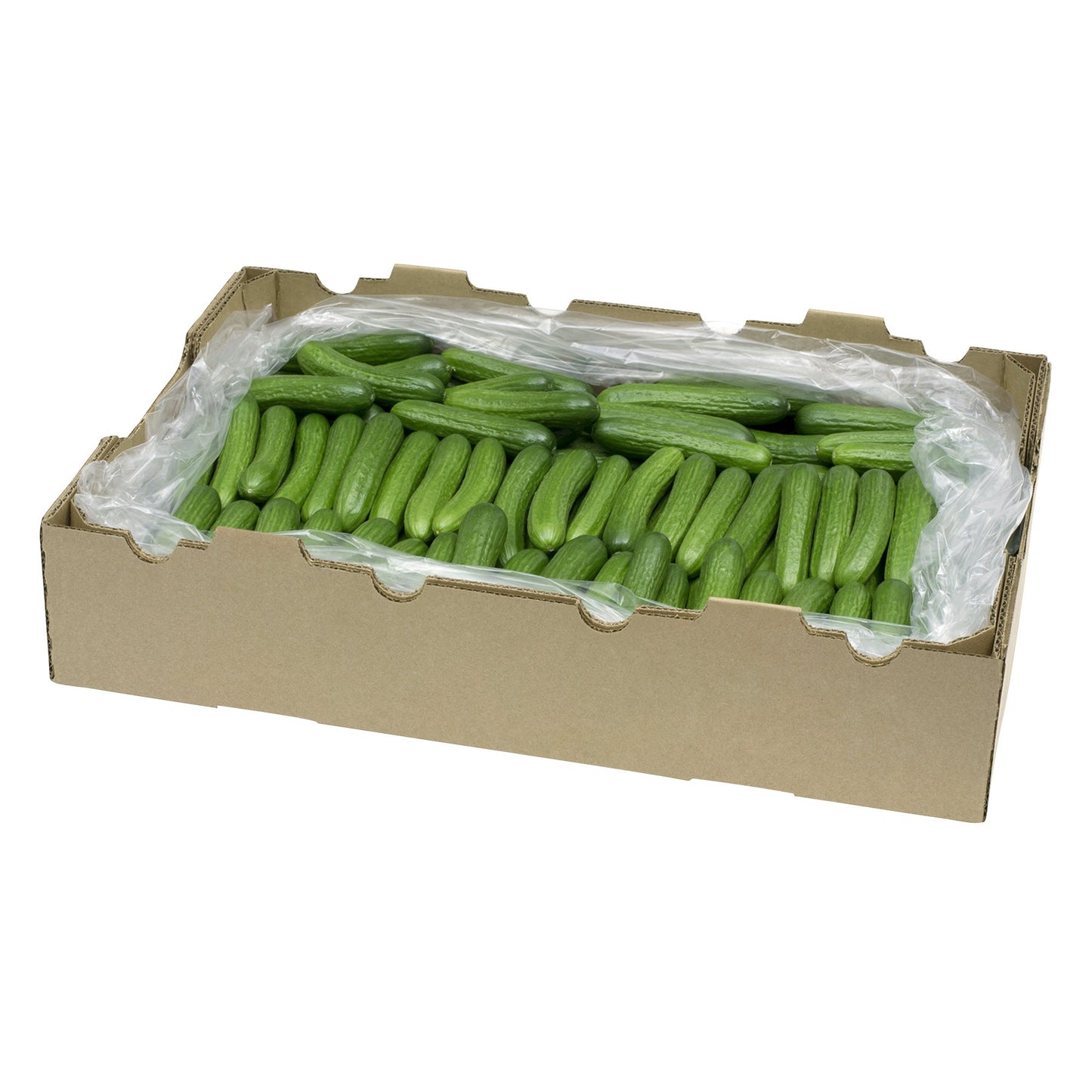 Mini Cucumbers, 2.27 kg - image 2