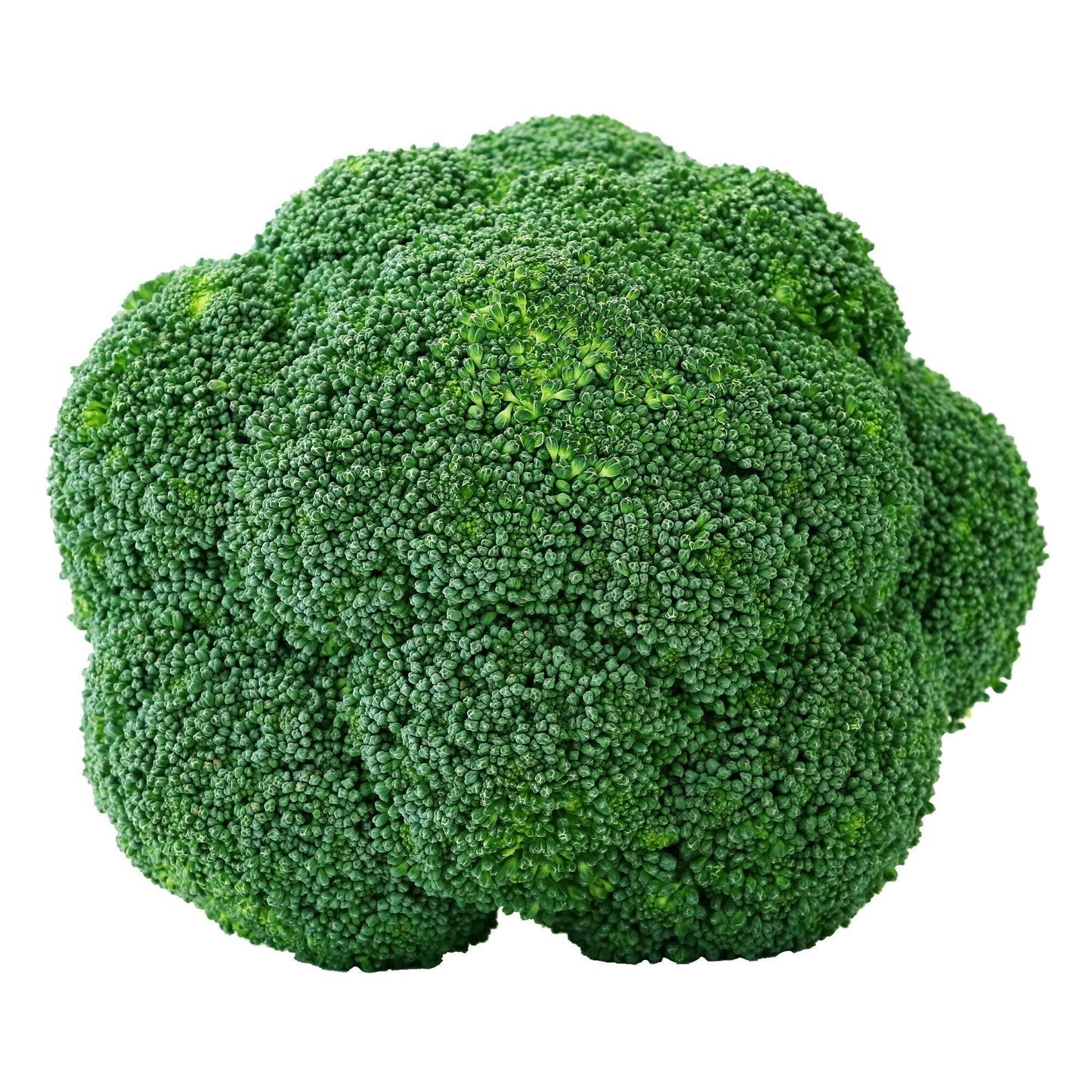 Broccoli Crowns - image 1