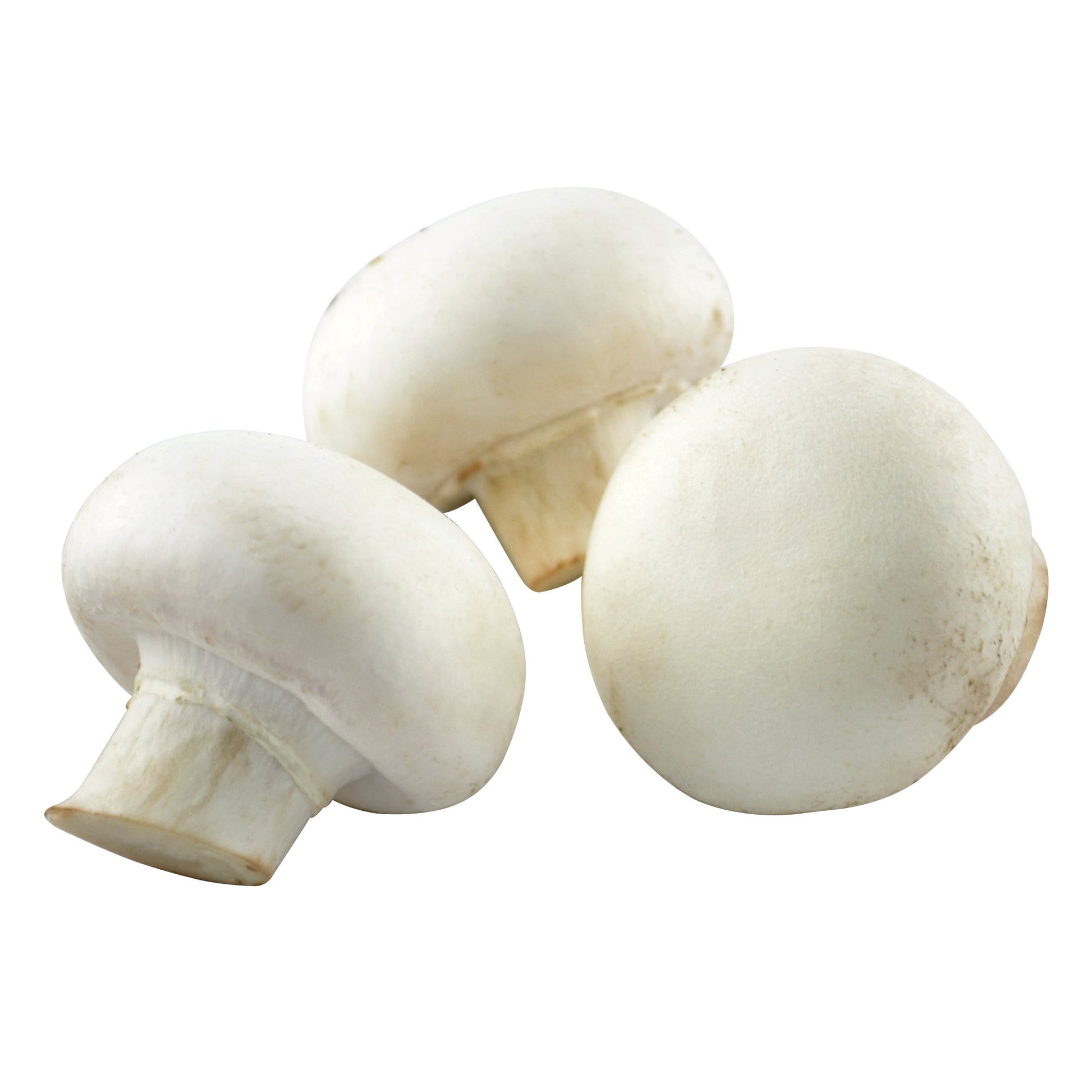 Whole White Mushrooms,  2.27 kg - image 1