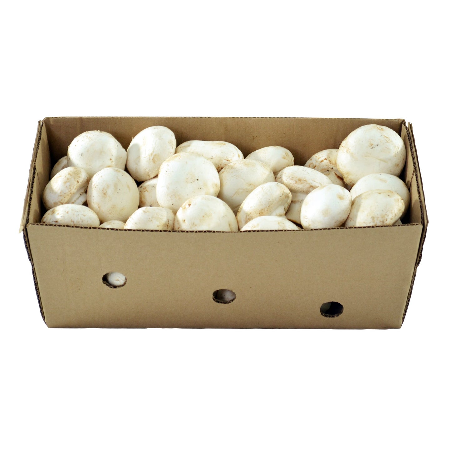 Whole White Mushrooms,  2.27 kg - image 2