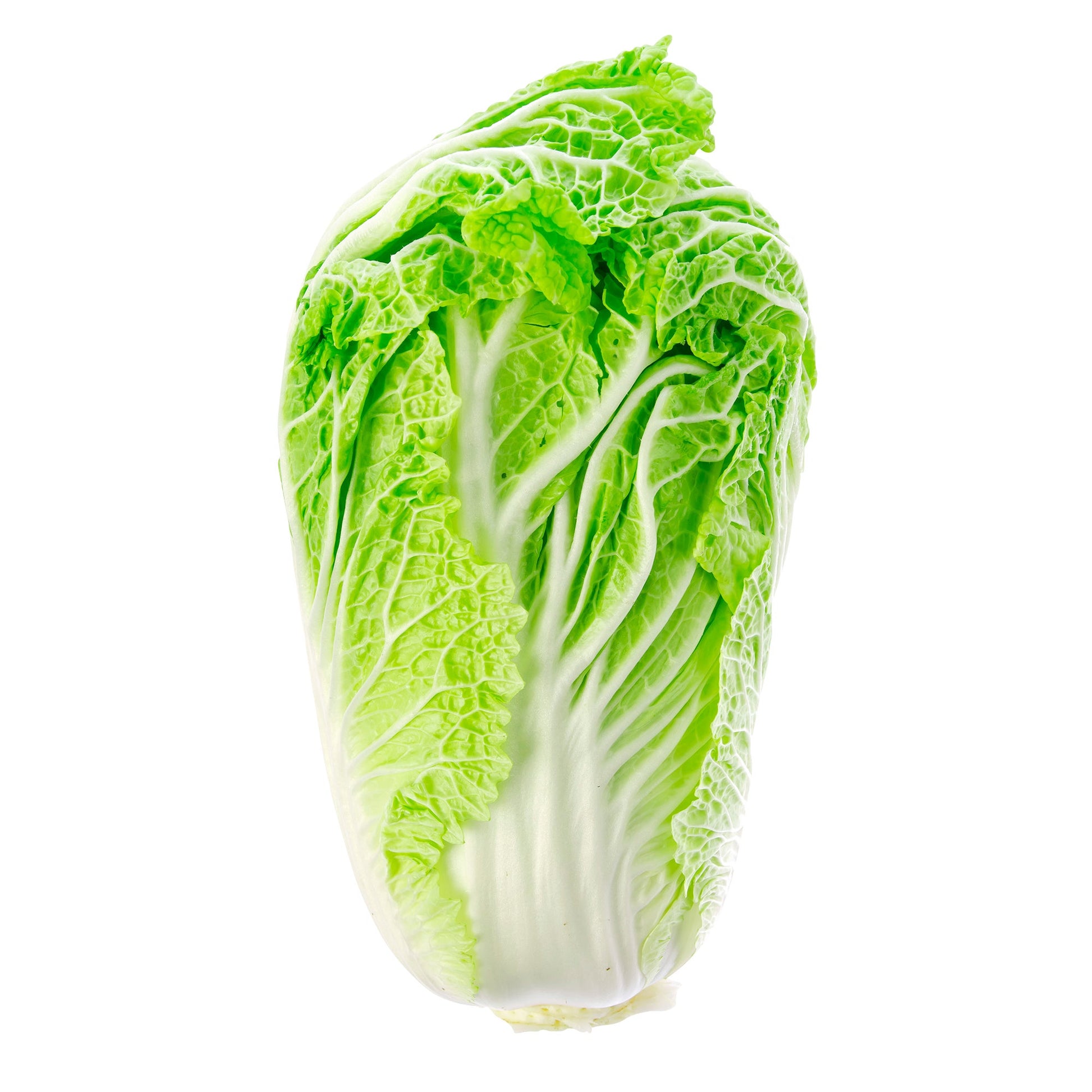 Napa Cabbage, 3 Pack - image 1