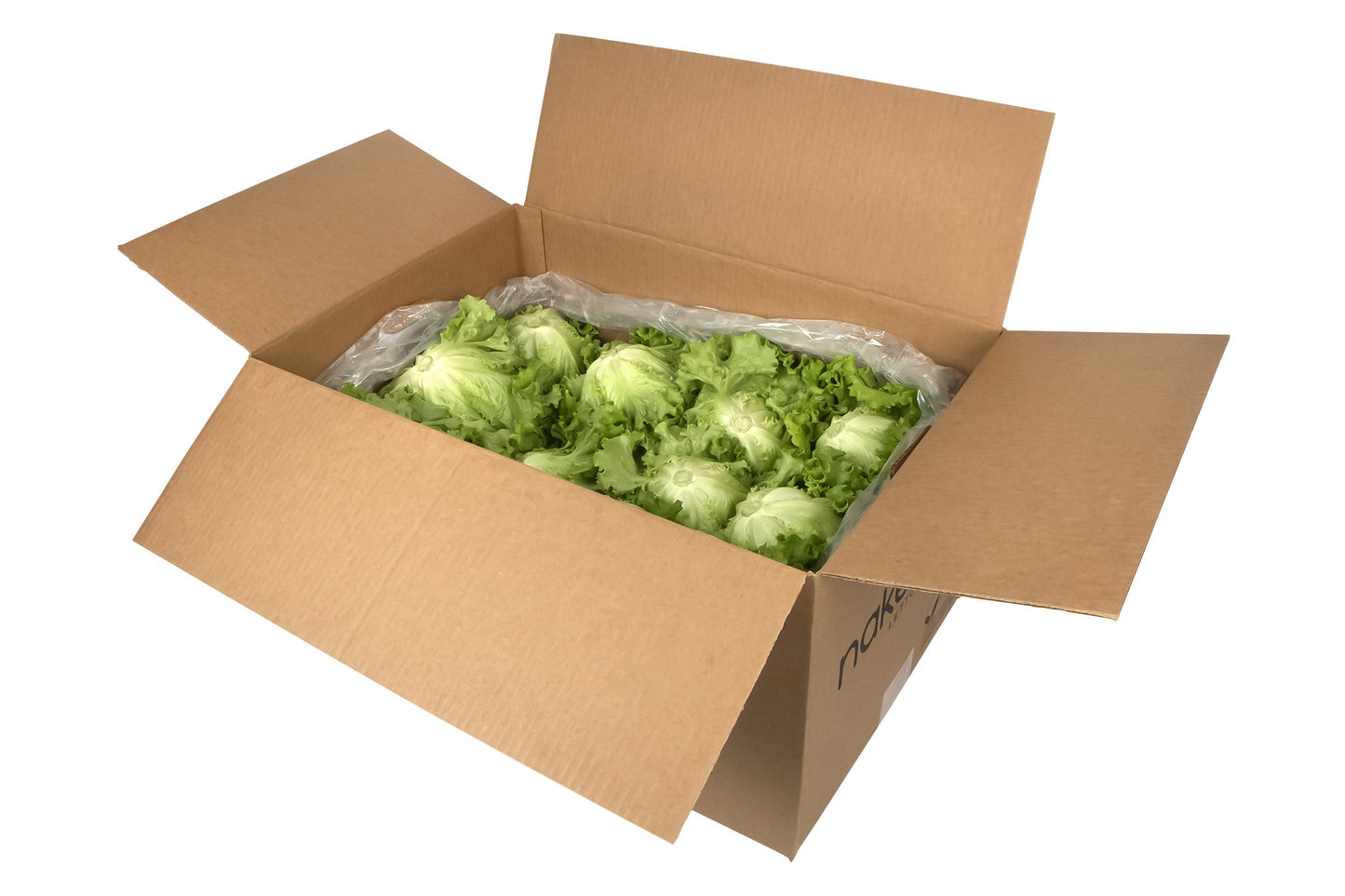Green Leaf Lettuce, 24 Pack - image 2