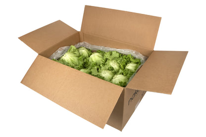 Green Leaf Lettuce, 24 Pack - image 2