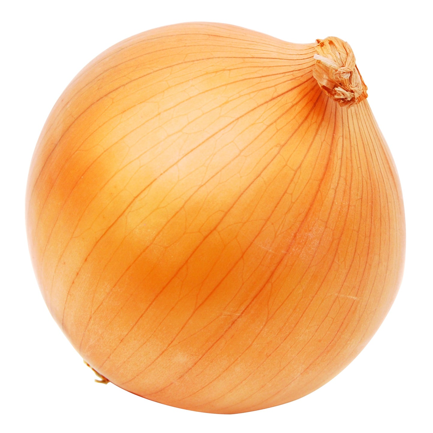 Yellow Onions, 22.7 kg - image 1