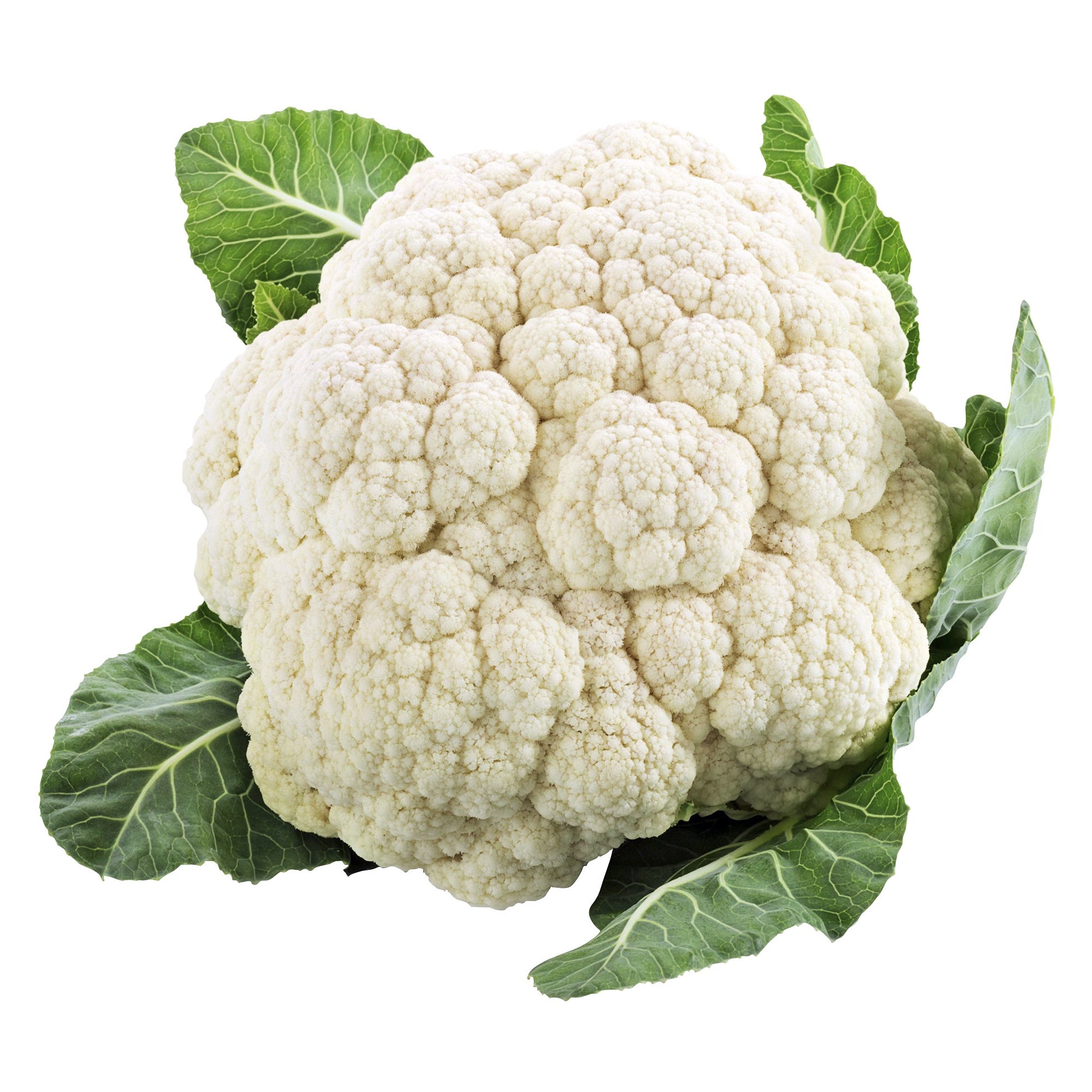 Cauliflower, Pack of 9 or 12 - image 1