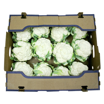 Cauliflower, Pack of 9 or 12 - image 2