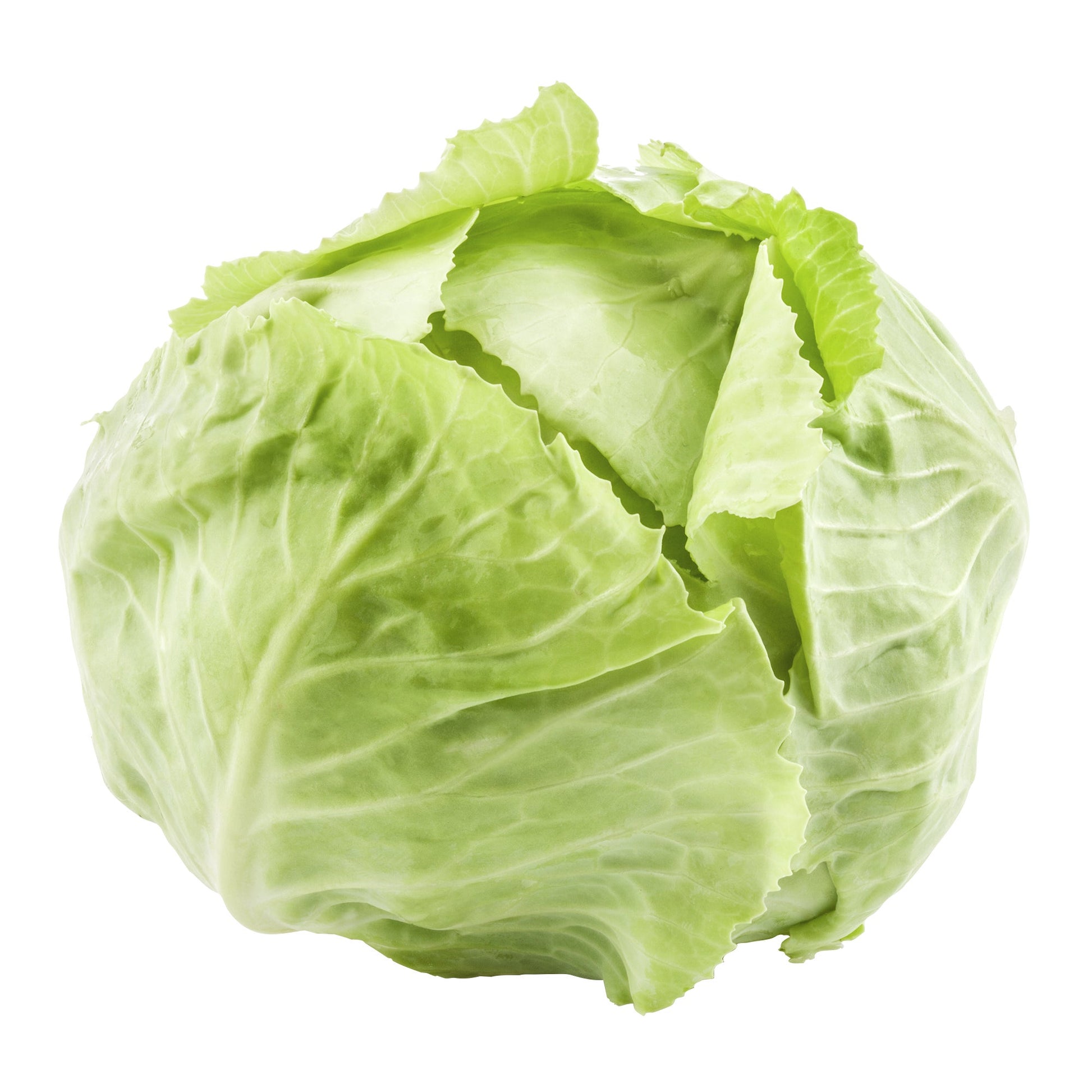 Green Cabbage, Pack of 12 to 14 - image 1