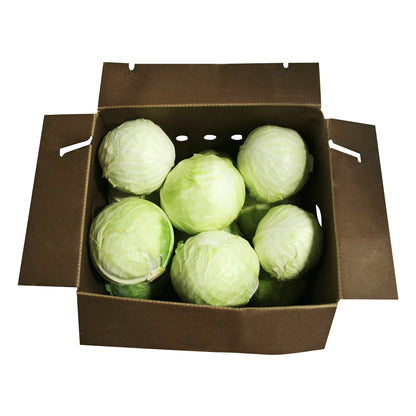Green Cabbage, Pack of 12 to 14 - image 2