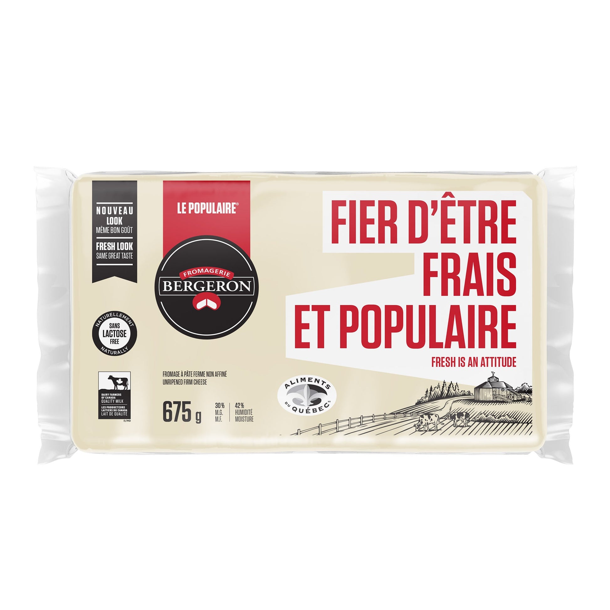 Fromagerie Bergeron Gouda Populaire Block, 675 g - image 1