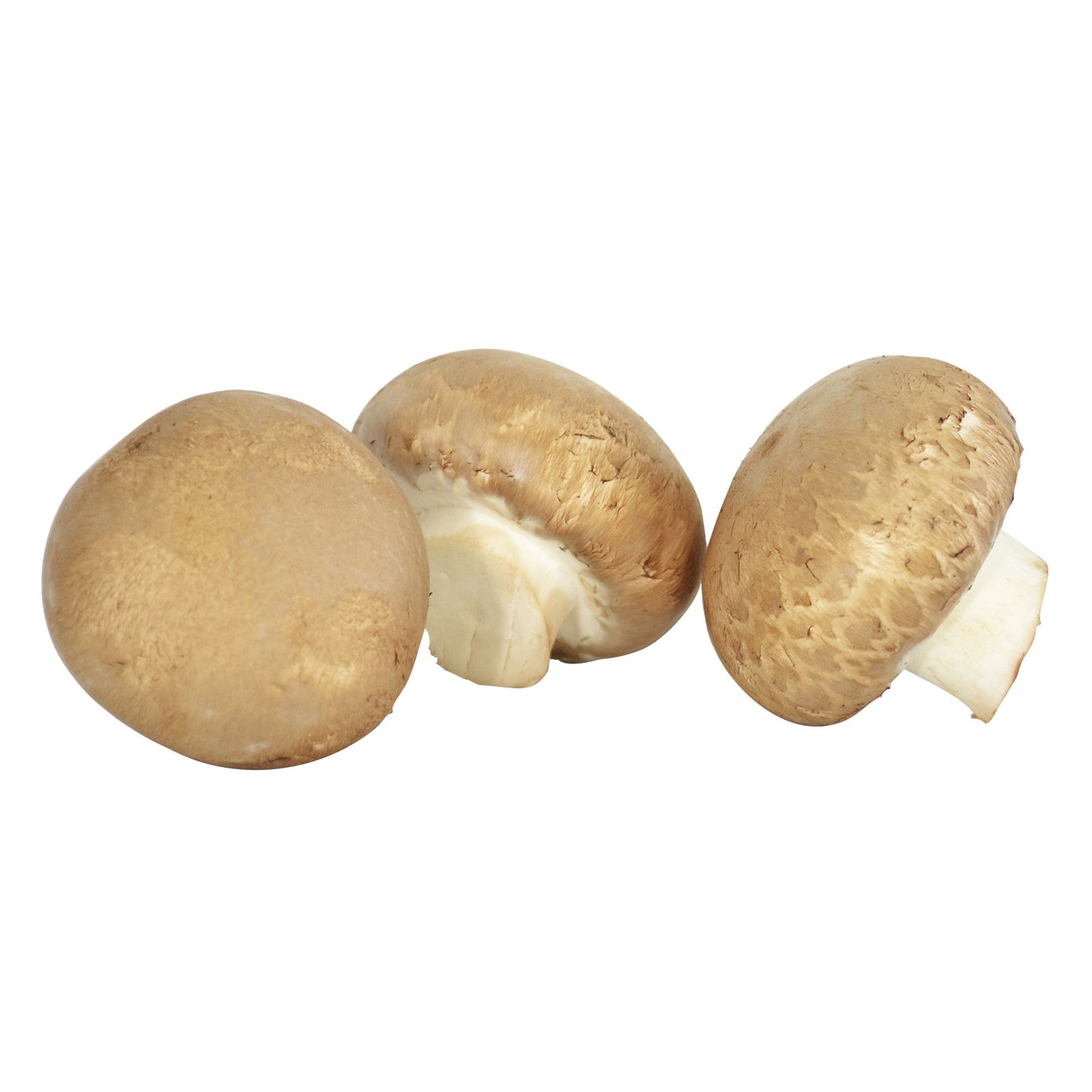 Mini Bella Mushrooms - image 1