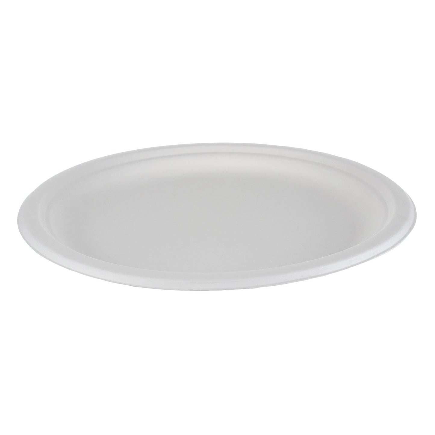 IECO 10-in Bagasse Plates, 5 packs of 50 - image 1