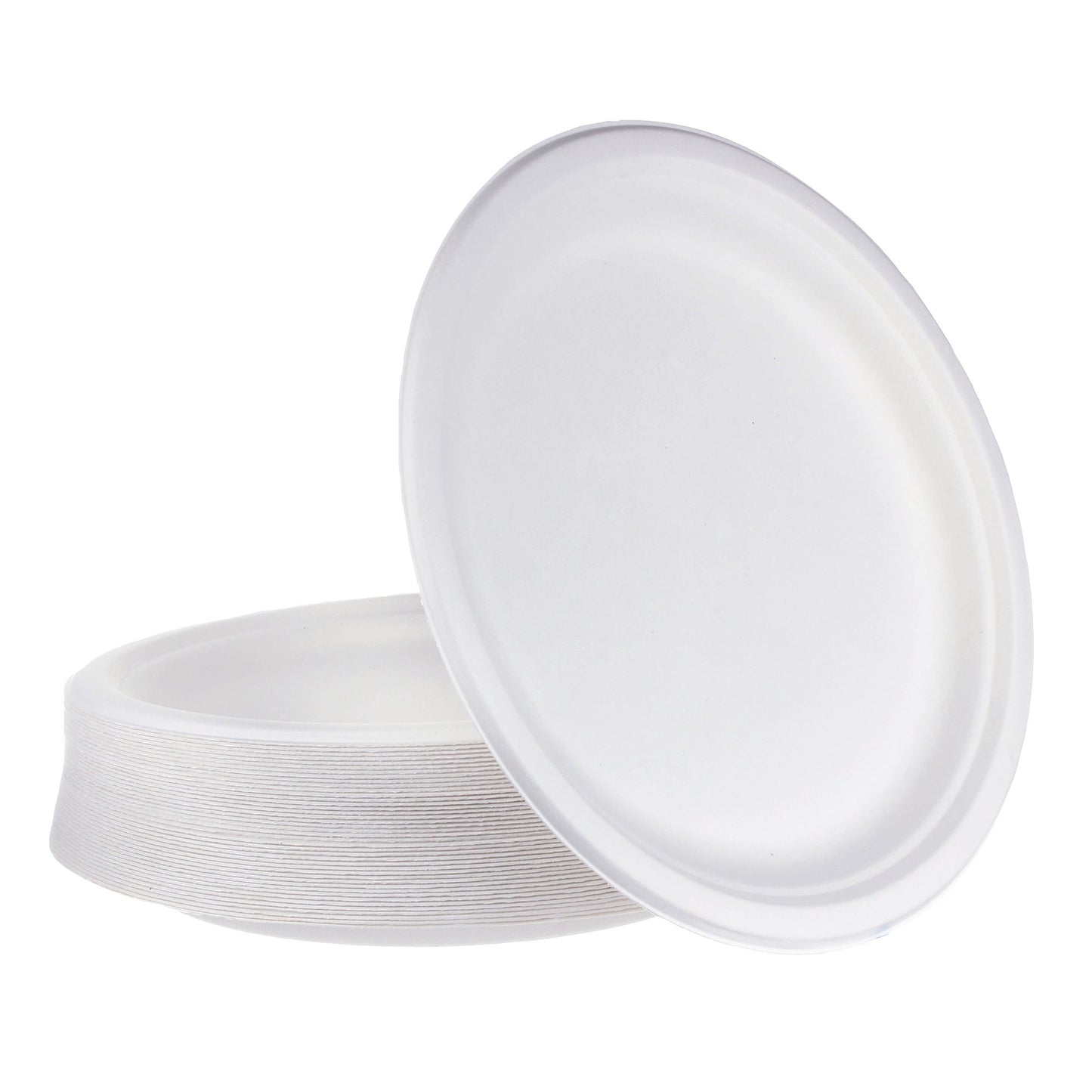 IECO 10-in Bagasse Plates, 5 packs of 50 - image 2