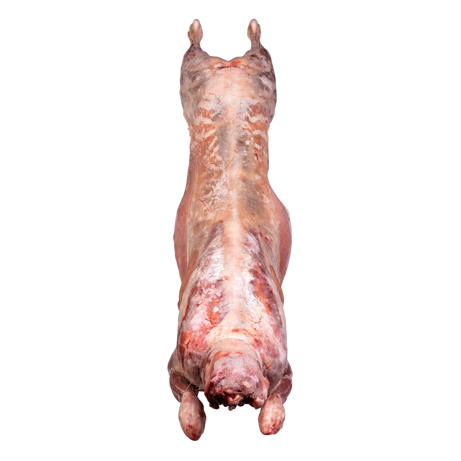 Thomas Foods Frozen Whole Lamb Halal Carcass, 14 kg average weight* - image 1
