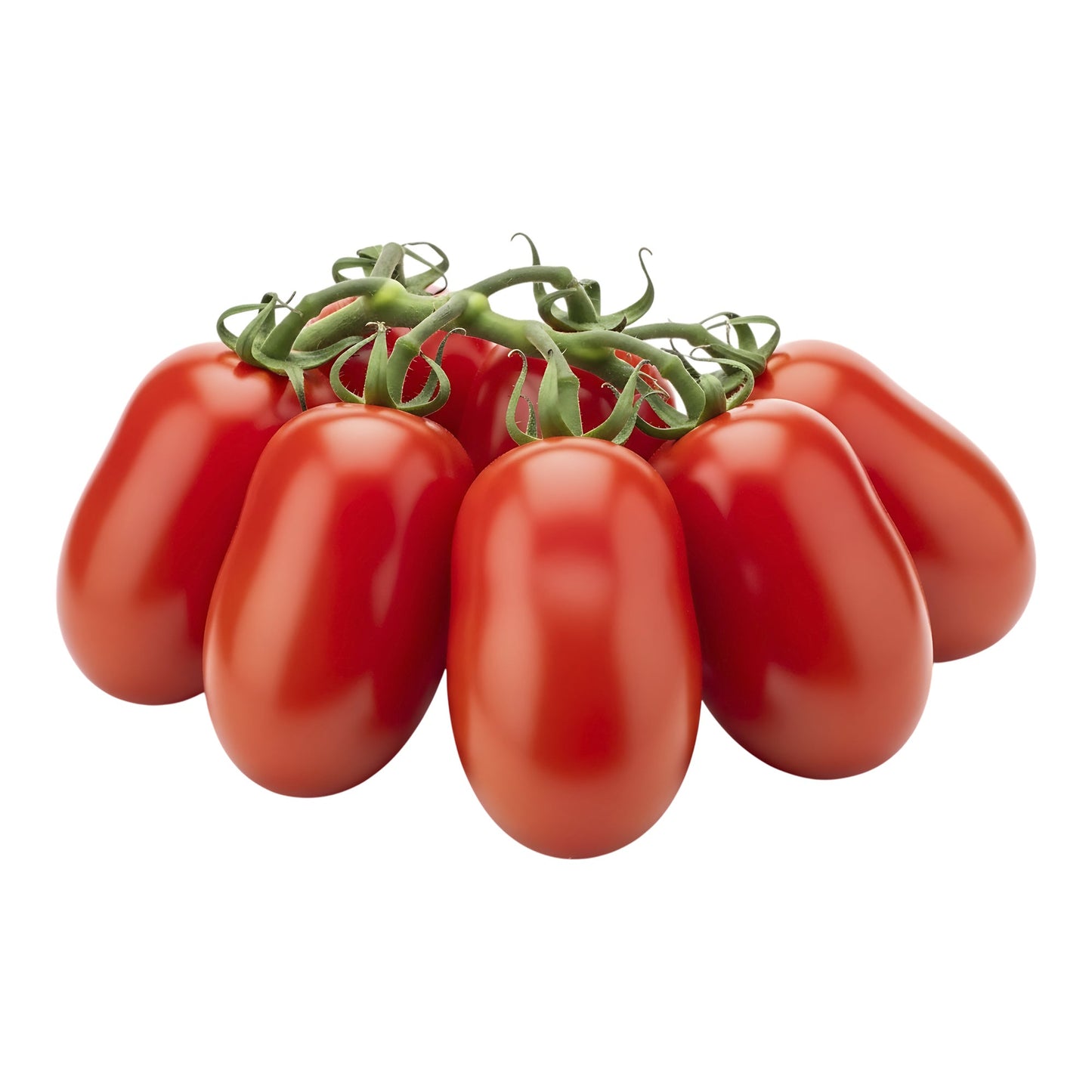 Roma Tomatoes On The Vine, 5 kg - image 1