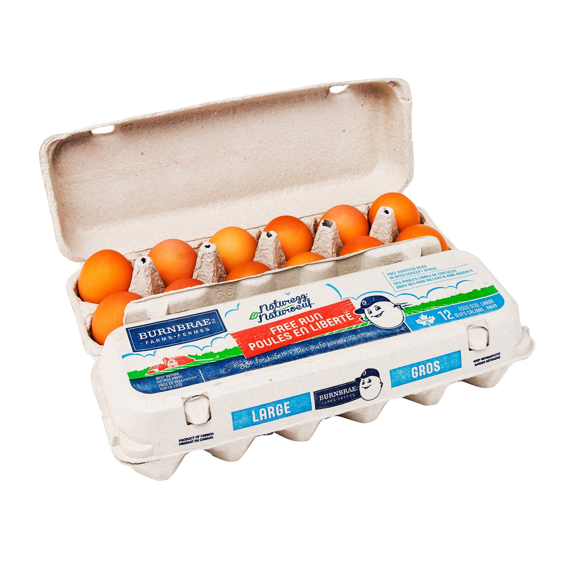 Burnbrae Farms - Large Free-run Eggs, 2 packs of 12 - image 1