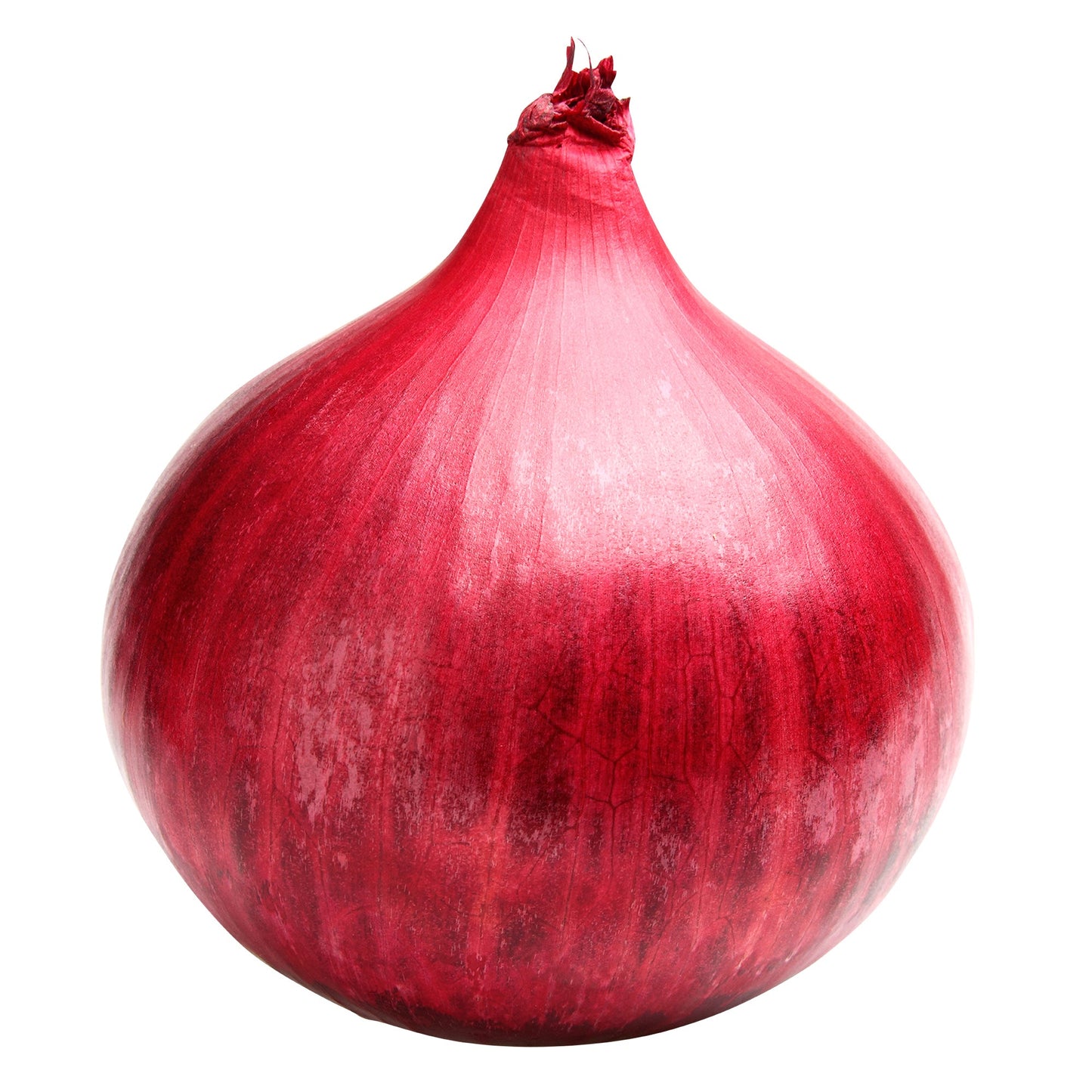 Red Onions - image 1