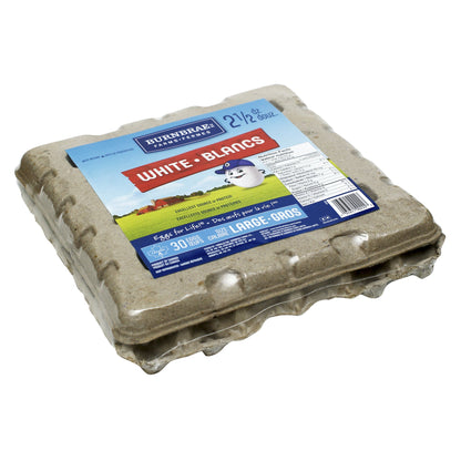 Burnbrae Farms Large Loose White Eggs, 2.5 Dozen - image 1