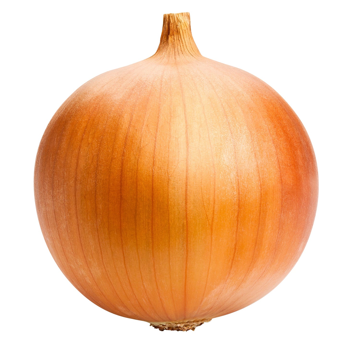 Jumbo Spanish Onions, 22.7 kg - image 1