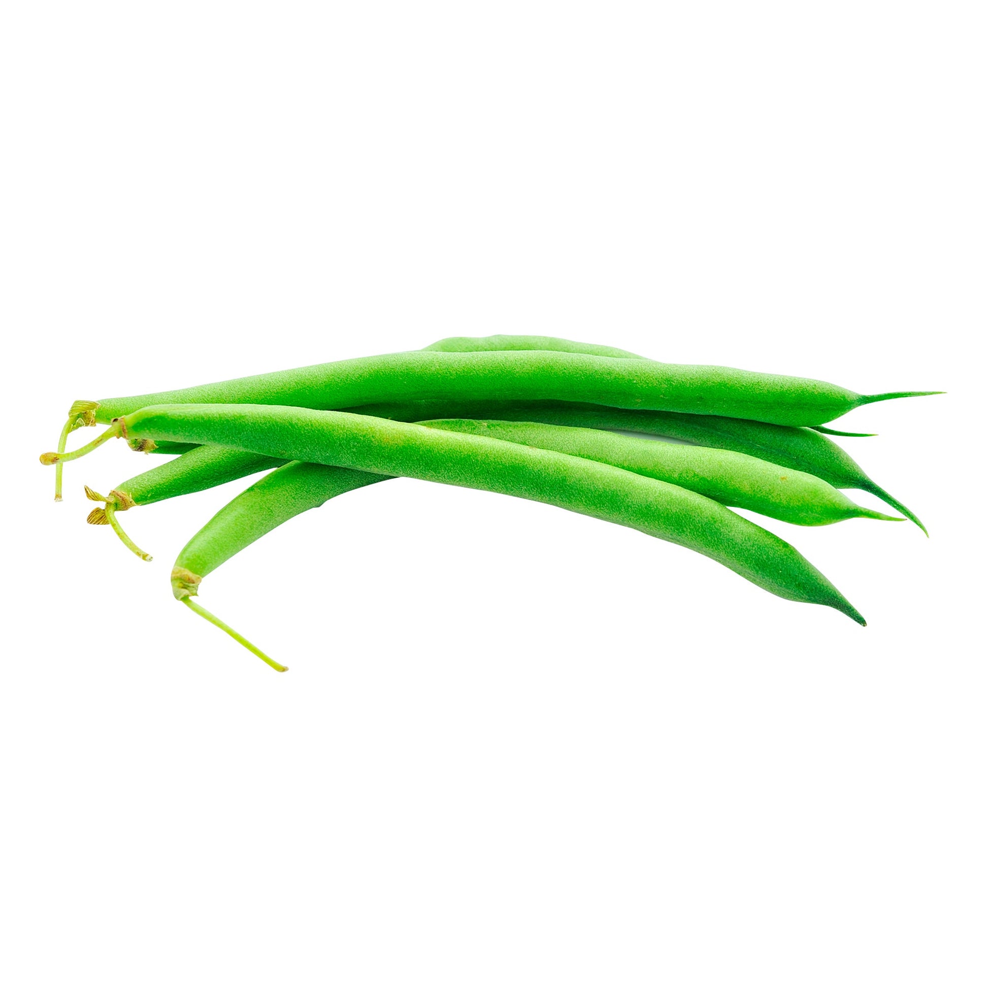 Organic French Green Beans - image 1