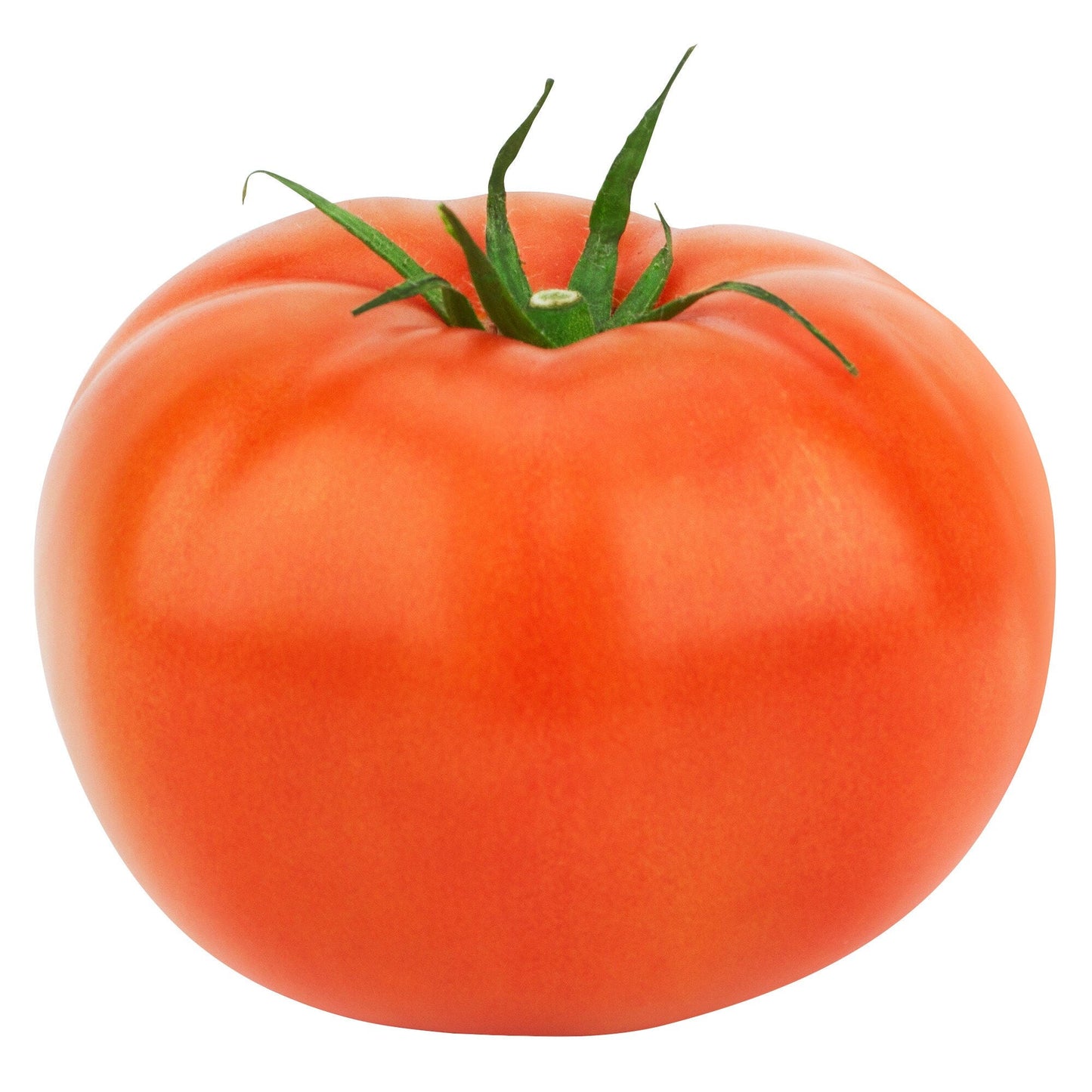 Red Beefsteak Field Tomatoes, 11.34 kg - image 1