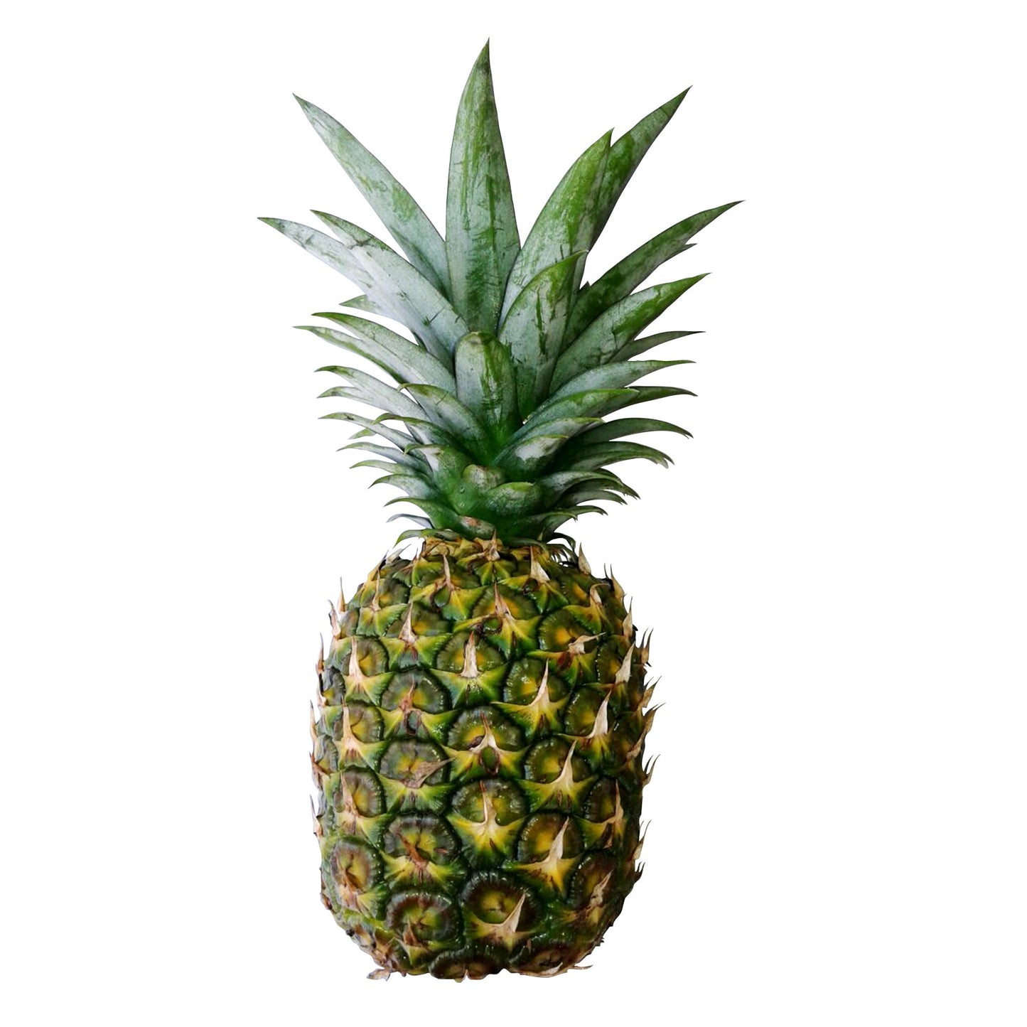 Golden Pineapple - image 1