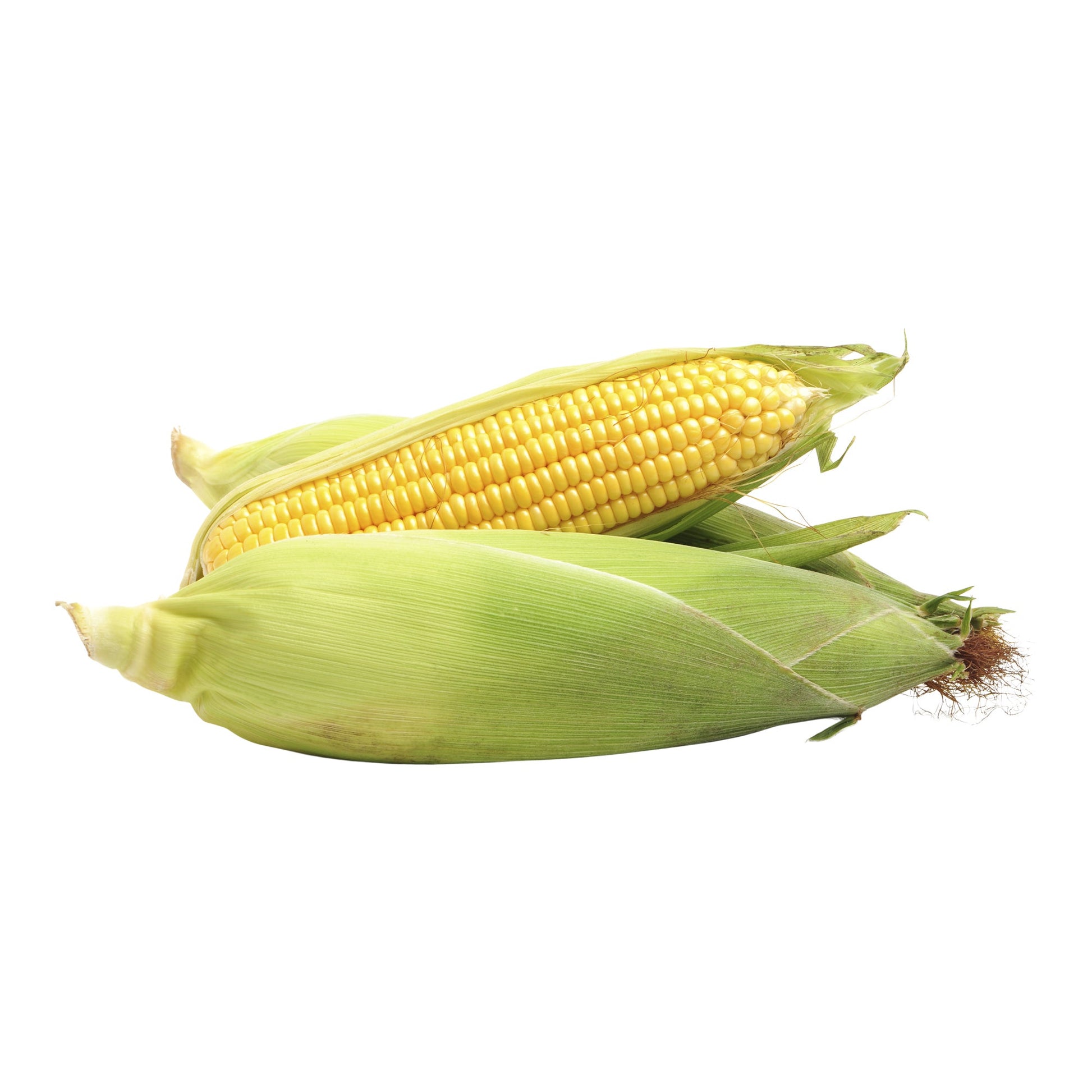 Local Corn on the Cob, Pack of 8 - image 1
