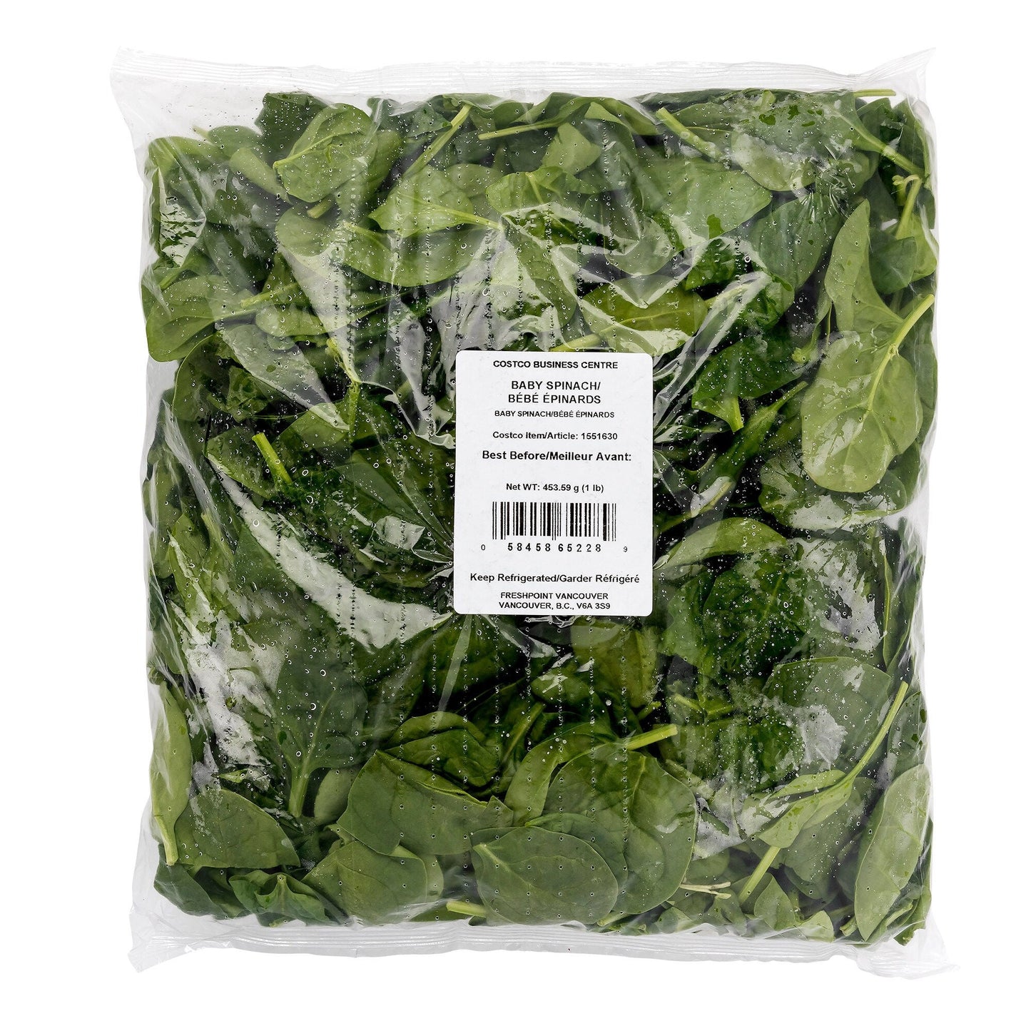 Baby Spinach - image 1
