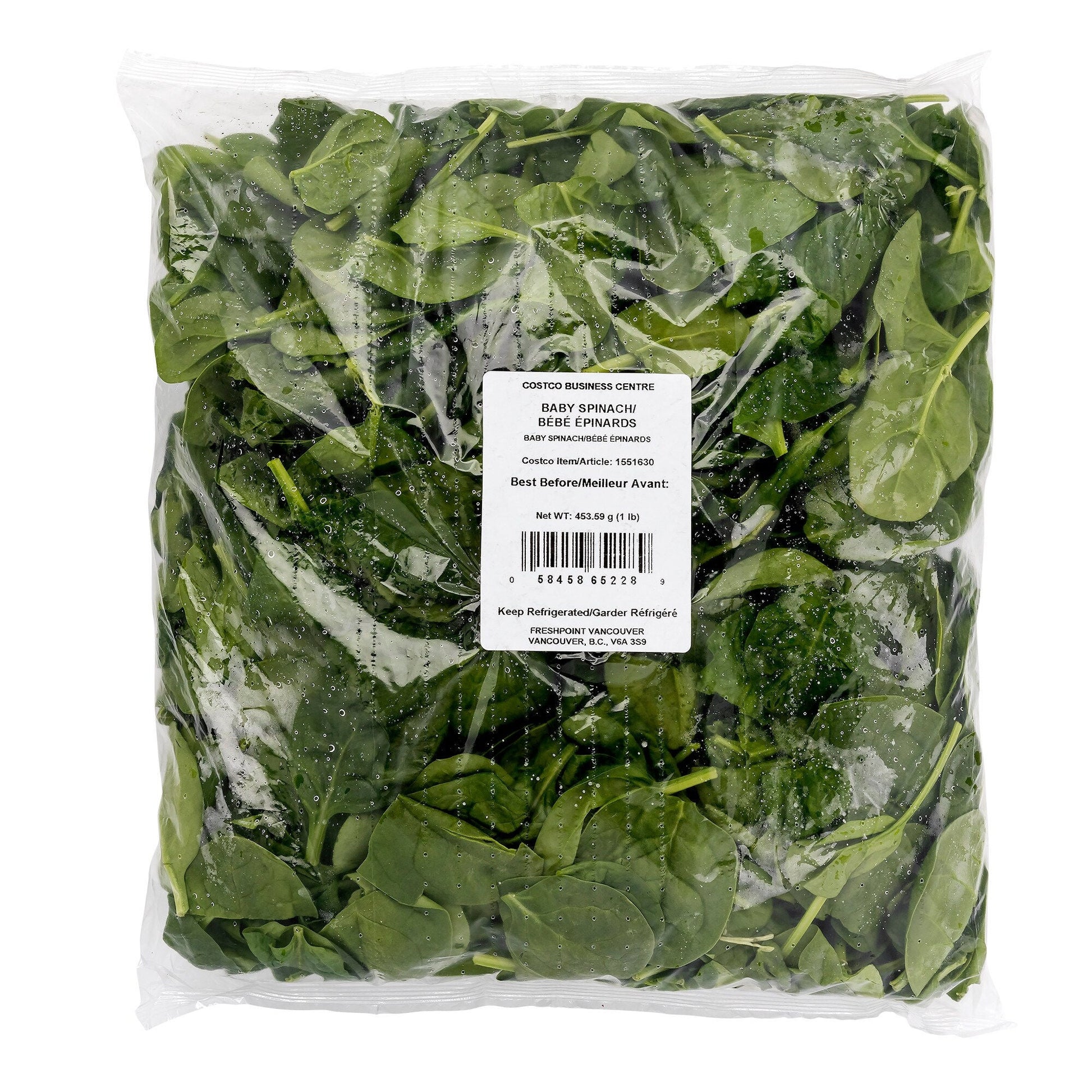 Baby Spinach - image 1