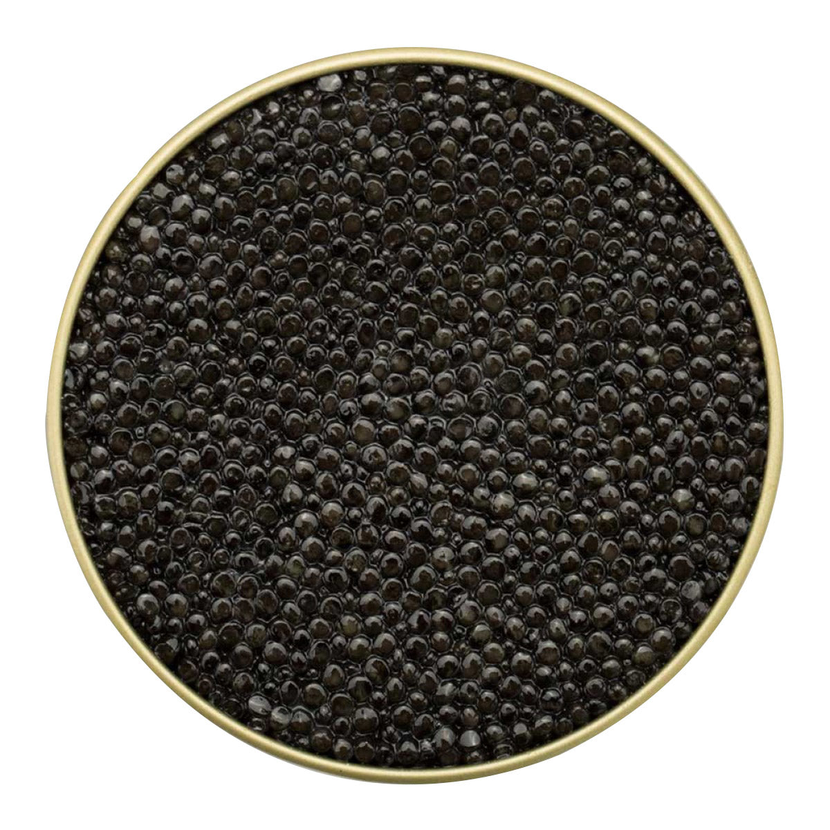Quintessence Oscietra Sturgeon Caviar - image 2