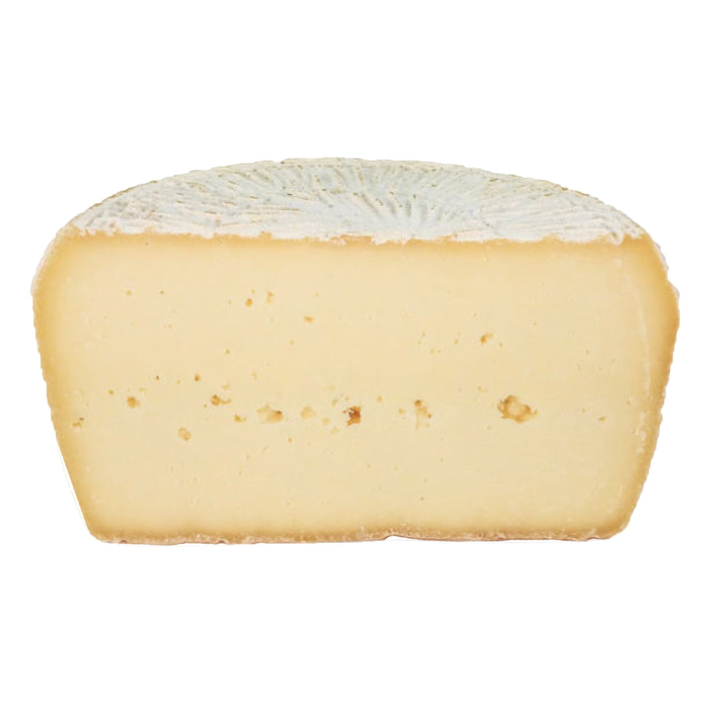 Guffanti Formaggi Pecorino Coratino 250 g (8.8 oz) x 4 pack - image 1