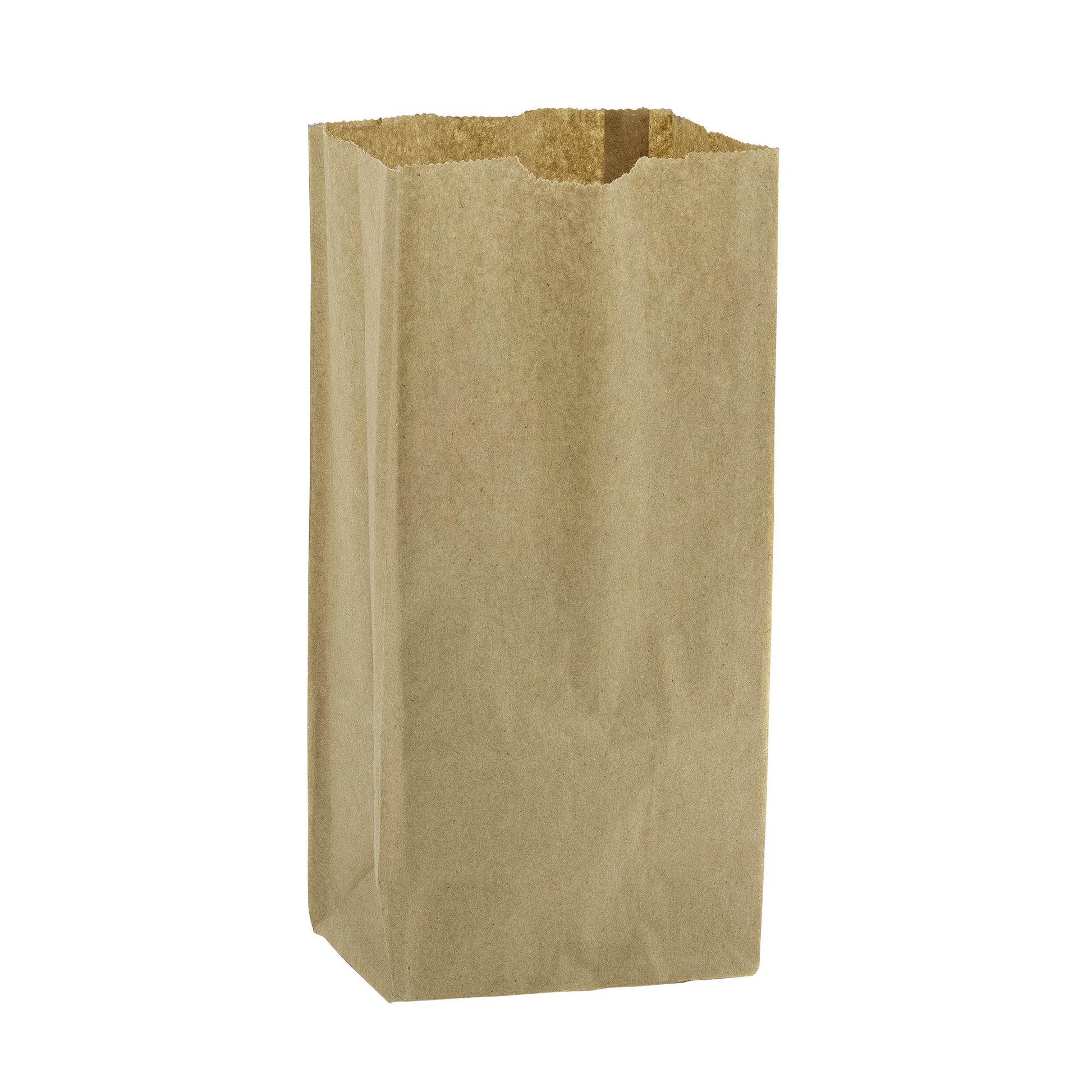 Resto Kraft Paper Grocery Bags, 8 lb, Pack of 500 - image 1