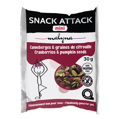 Snack Attack Mini, Snacks Variety Pack, 60 bags, 1.8 kg - image 6