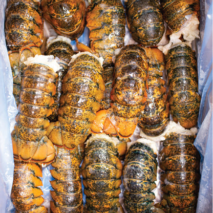 OceanPrime Canadian Lobster Tails, 2.26 kg (5 lb) - image 2