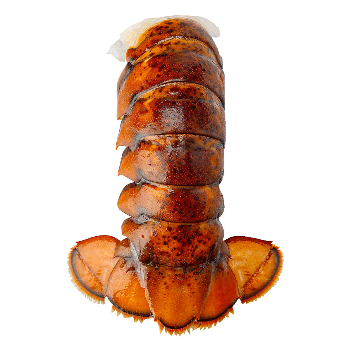 Blue Tide Frozen Wild Lobster Tail, 4-5 oz. 4.54 kg - image 1
