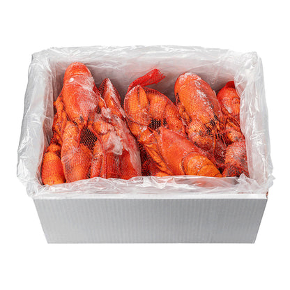 Blue Tide Frozen Wild Whole Cooked Lobster, 4.54 kg - image 2