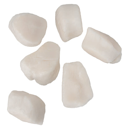 Blue Tide Wild Dry Scallops 10/20, 2 × 2.27 kg - image 2