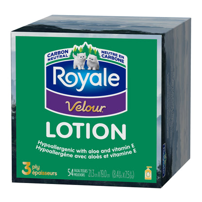 Royale Velour Lotion Facial Tissues, 24 Cube Boxes, 54 Sheets Per Box - image 3
