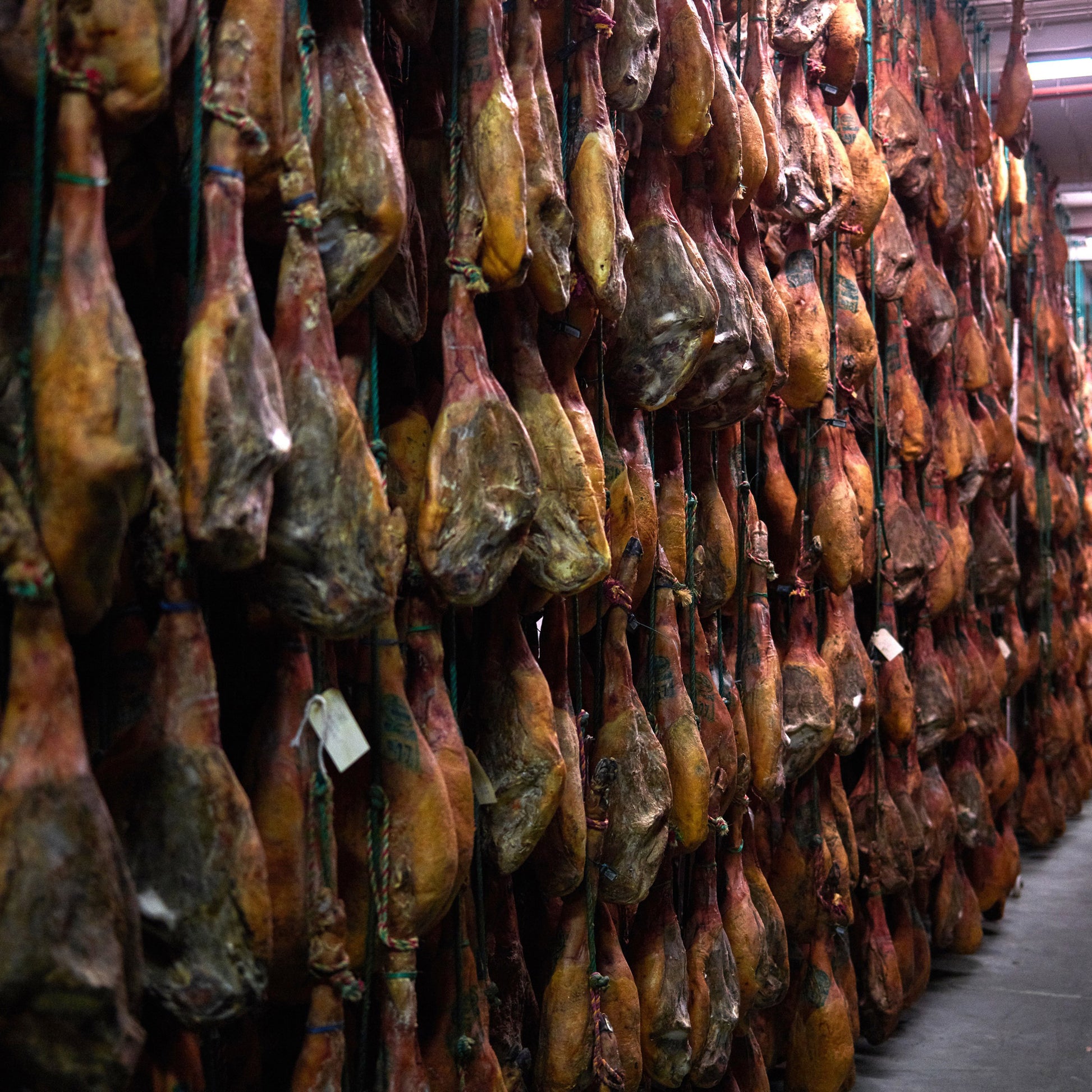 Iberico Bellota Ham Bone-in 48 Months, 8-10 kg - image 5